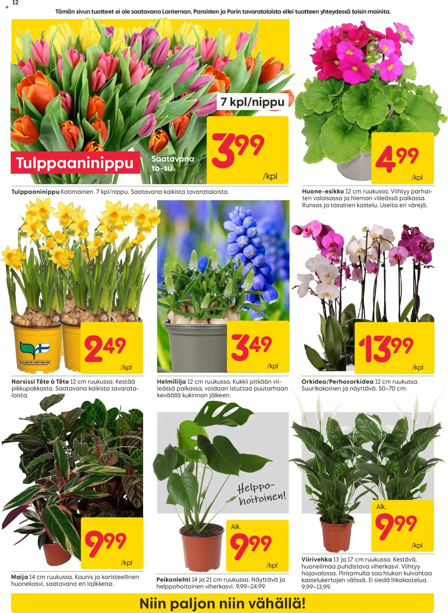 Rusta tarjoukset – voimassa 16.02.2026 alkaen | Sivu: 12