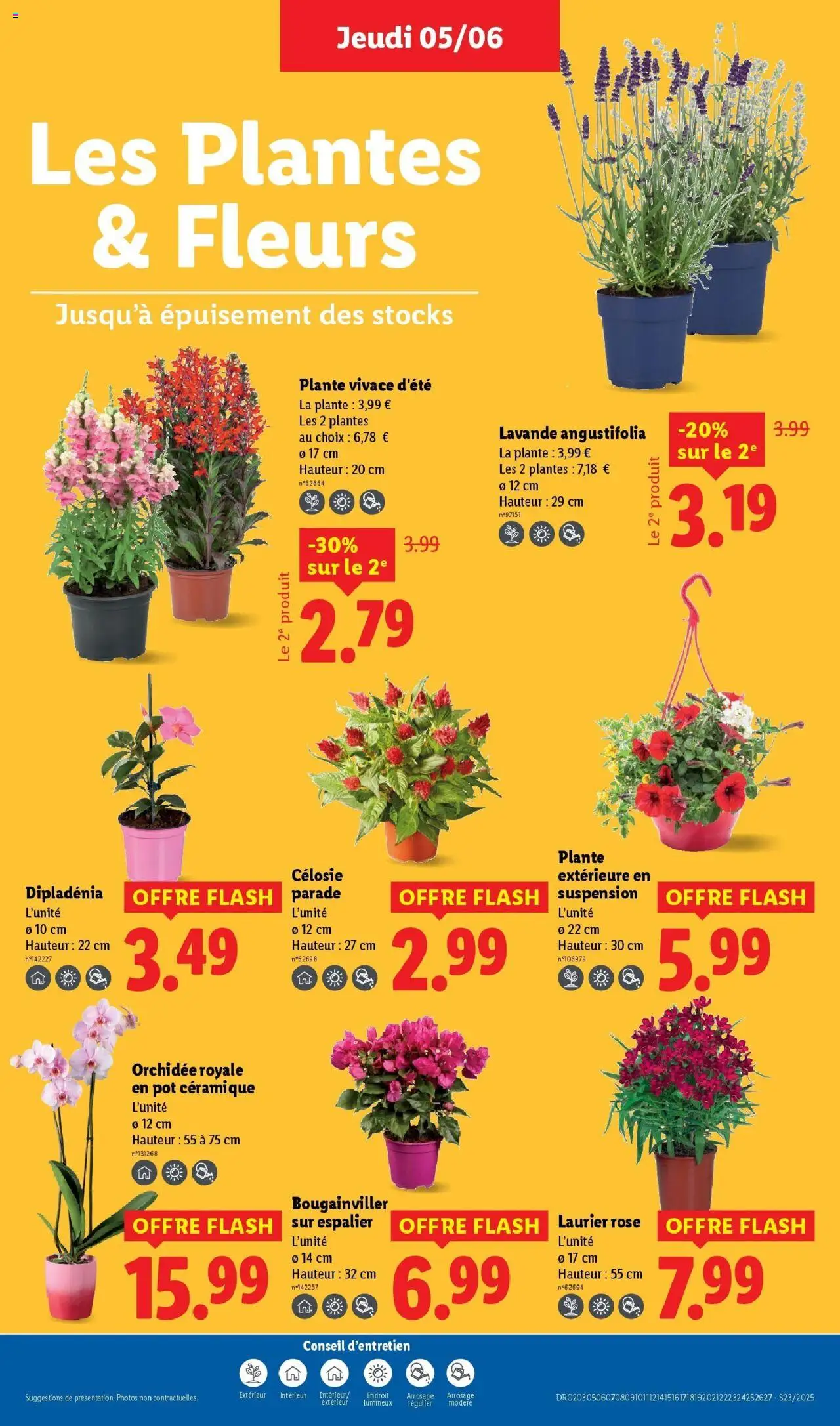  | Page: 29 | Produits: Lavande, Laurier Rose, Plantes, Suspension