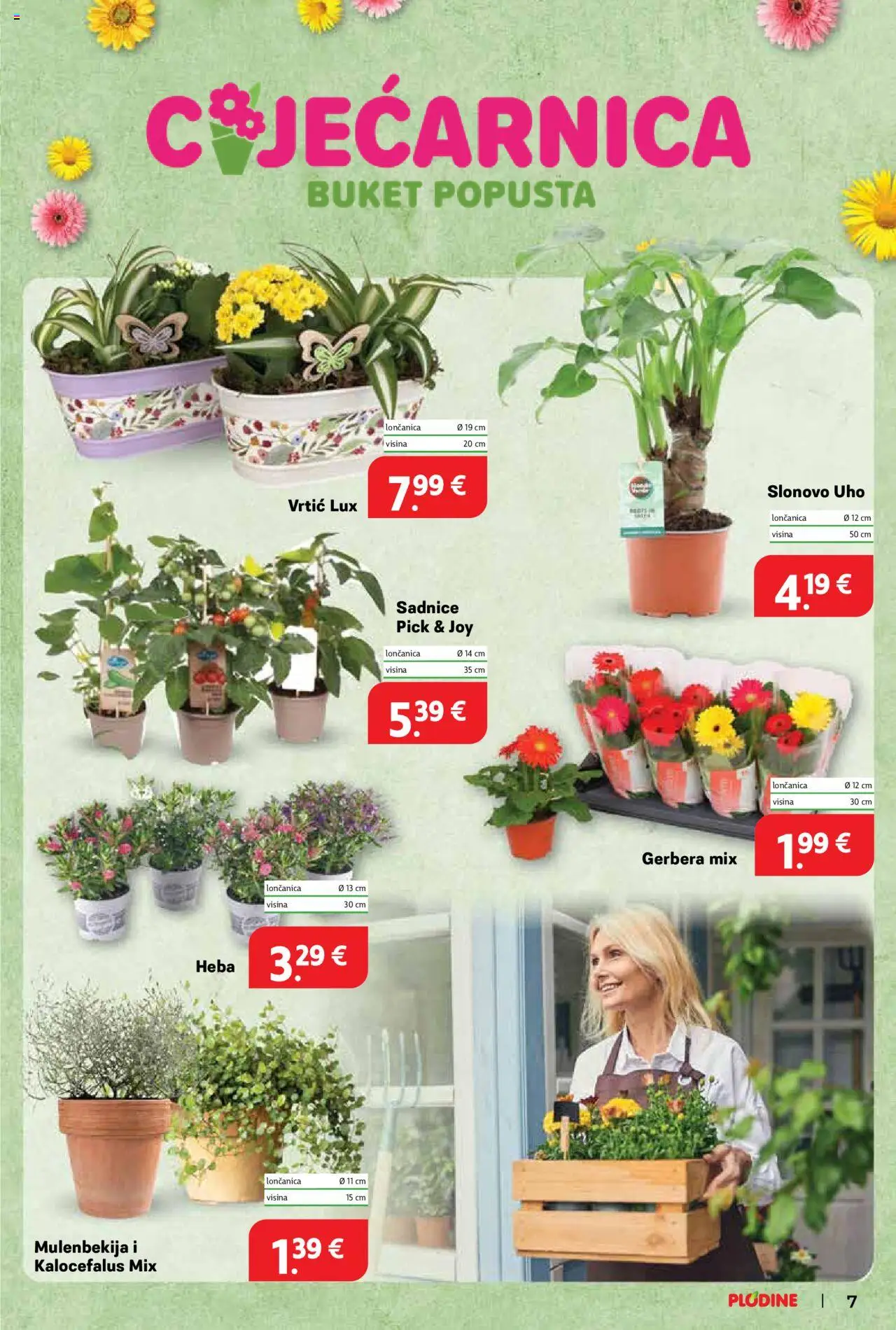 Plodine katalog | vrijedi od 20.08.2025 | Stranica: 7