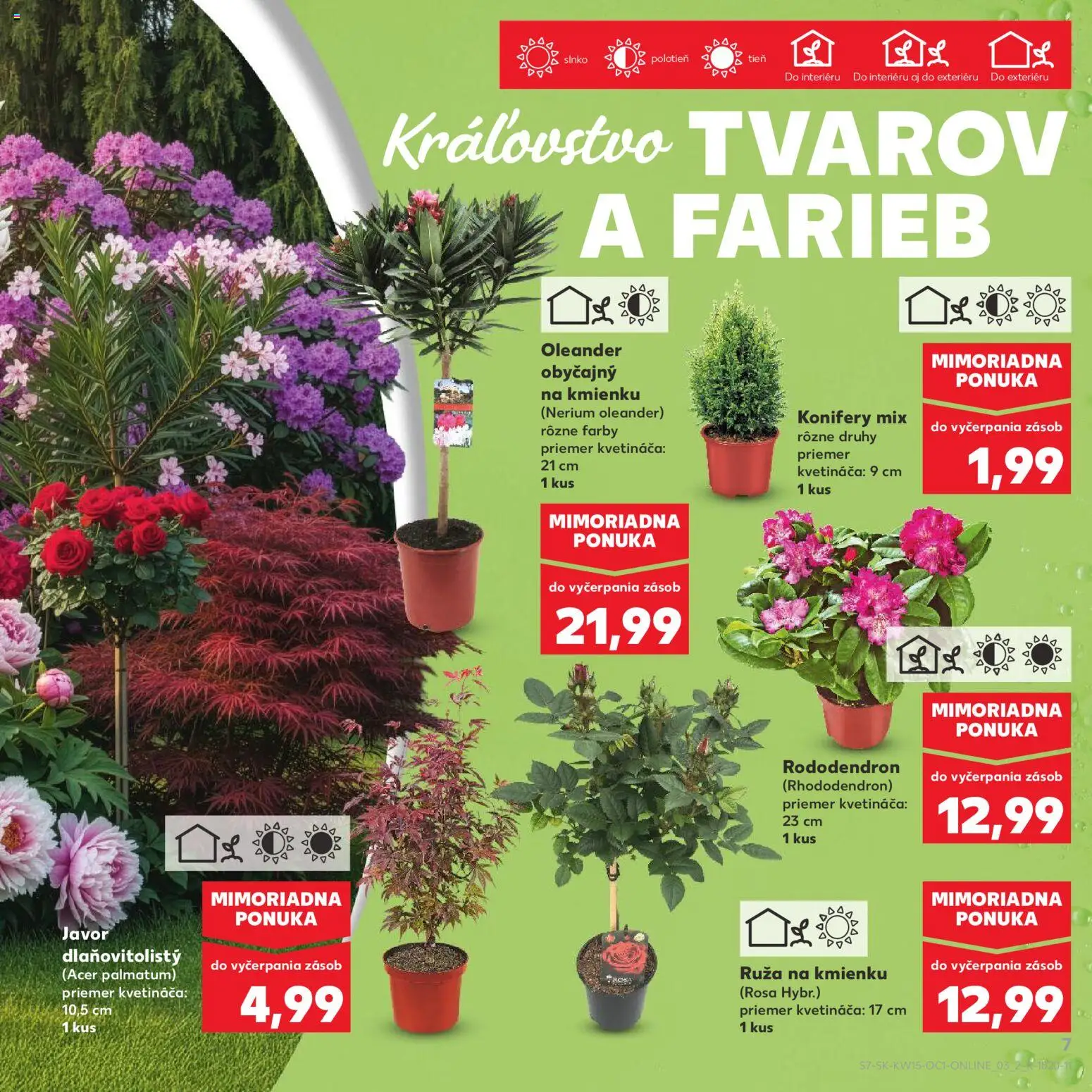 Kaufland SK akciós ujság - amely érvényes a következő dátumtól: 09.04.2026 | Oldal: 7 | Termékek: Rododendron, Rhododendron