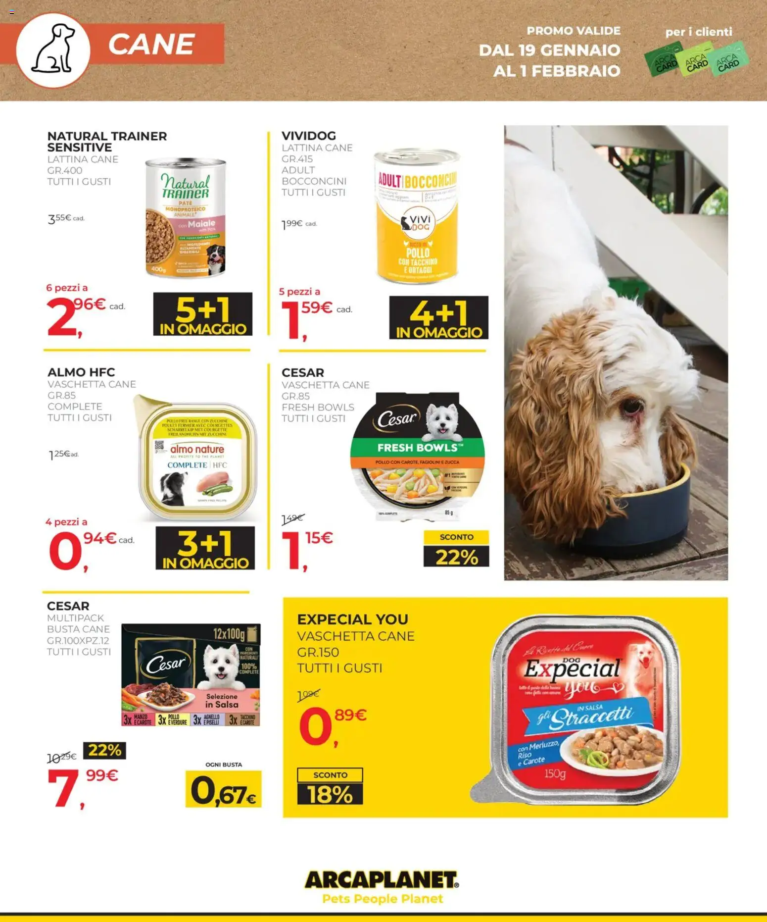 Volantino Arcaplanet del 19.01.2026 | Pagina: 14 | Prodotti: Paté, Maiale, Carote, Zucchine