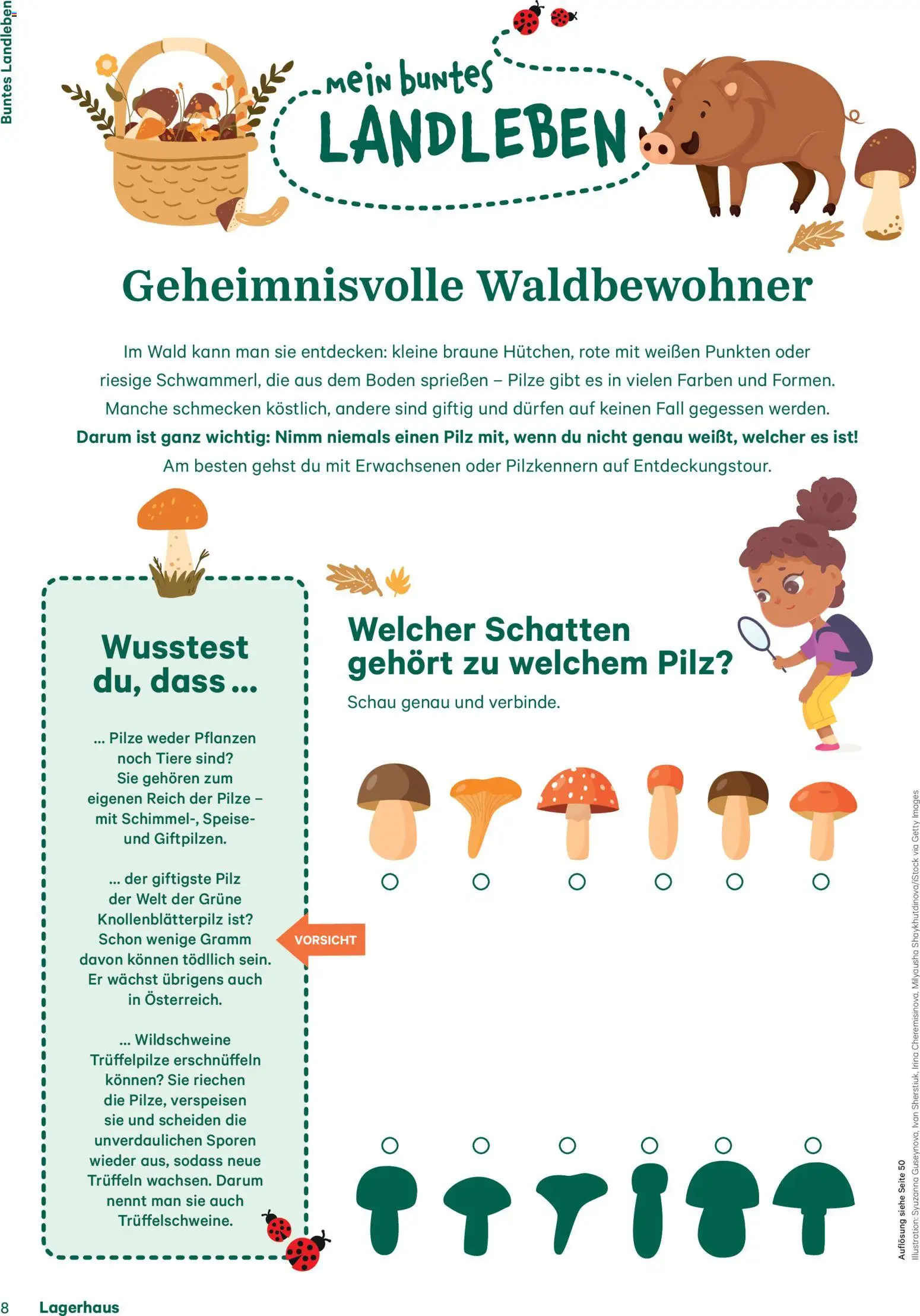 Lagerhaus Fürs Leben am Land gültig ab 01.11.2025 | Seite: 8