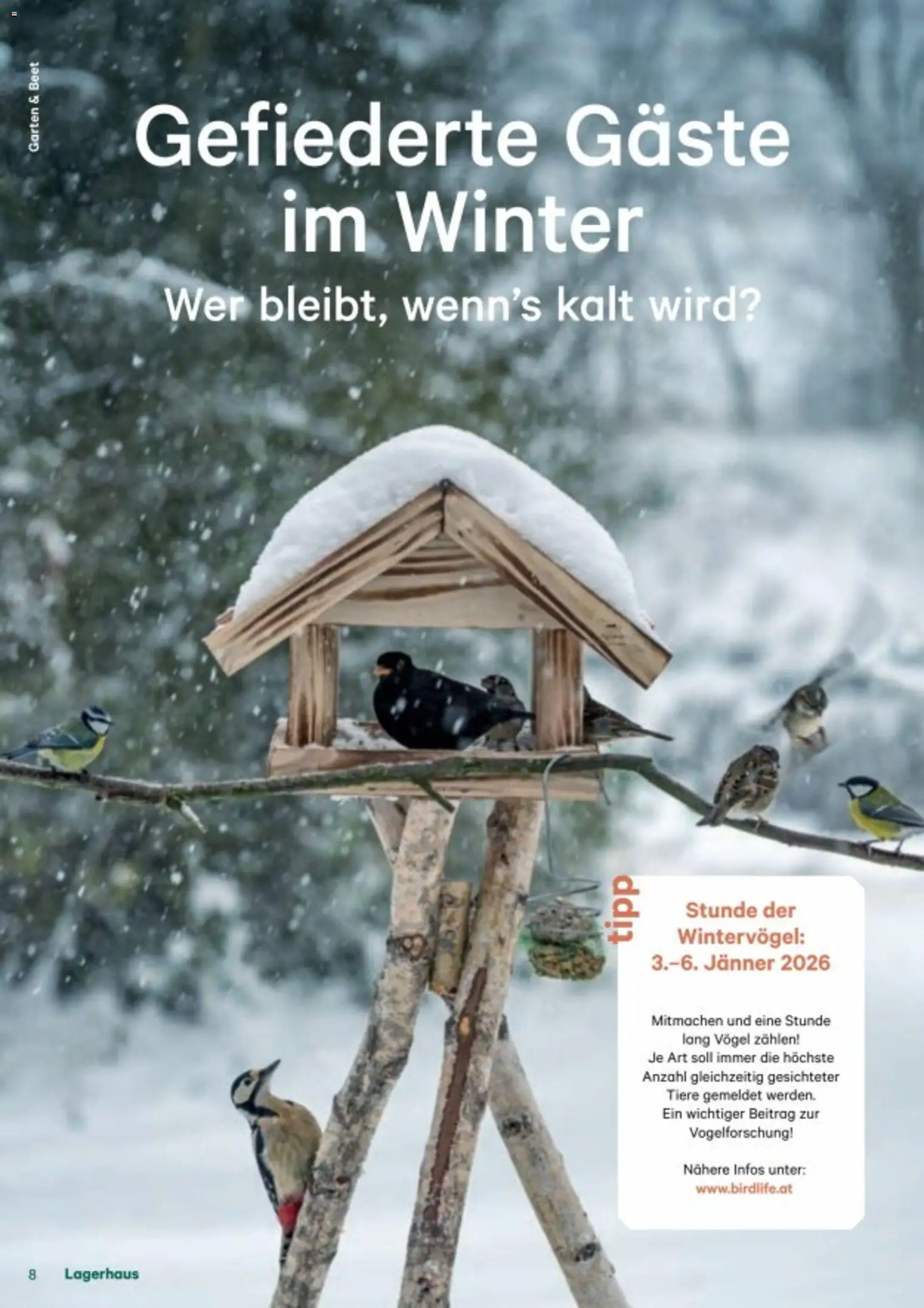 Lagerhaus Fürs Leben am Land gültig ab 01.11.2025 | Seite: 8