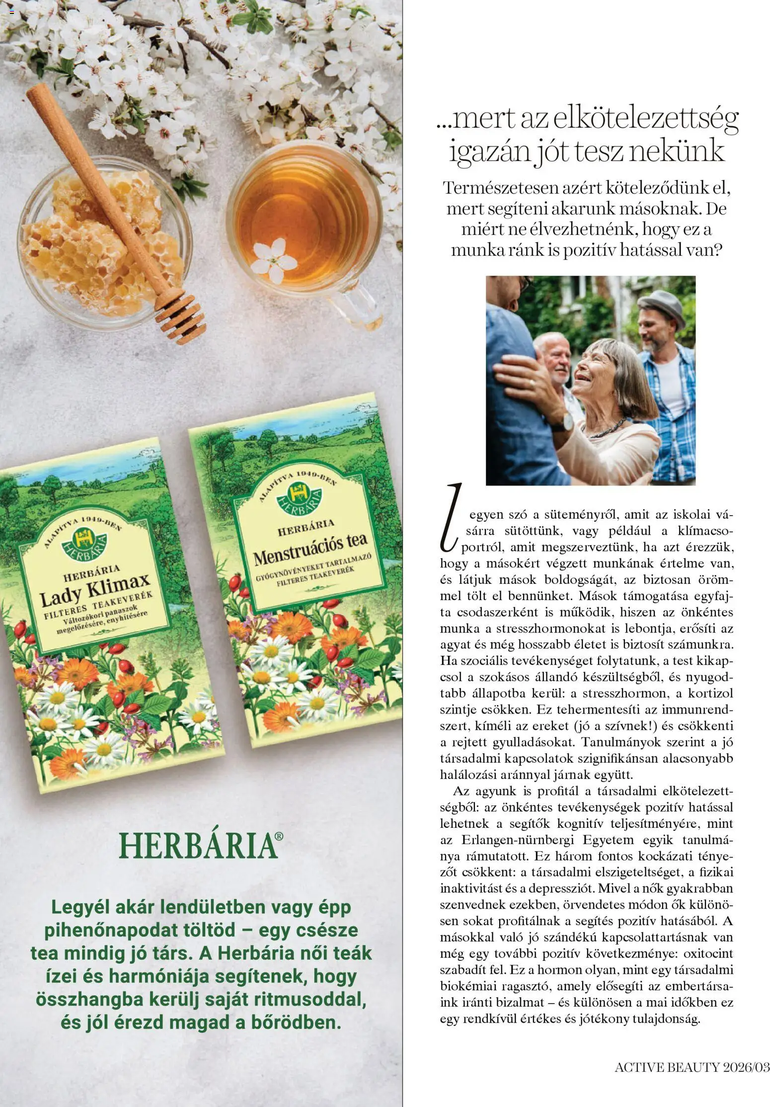 DM Drogerie Markt akciós ujság - amely érvényes a következő dátumtól: 26.03.2026 | Oldal: 22 | Termékek: Tea