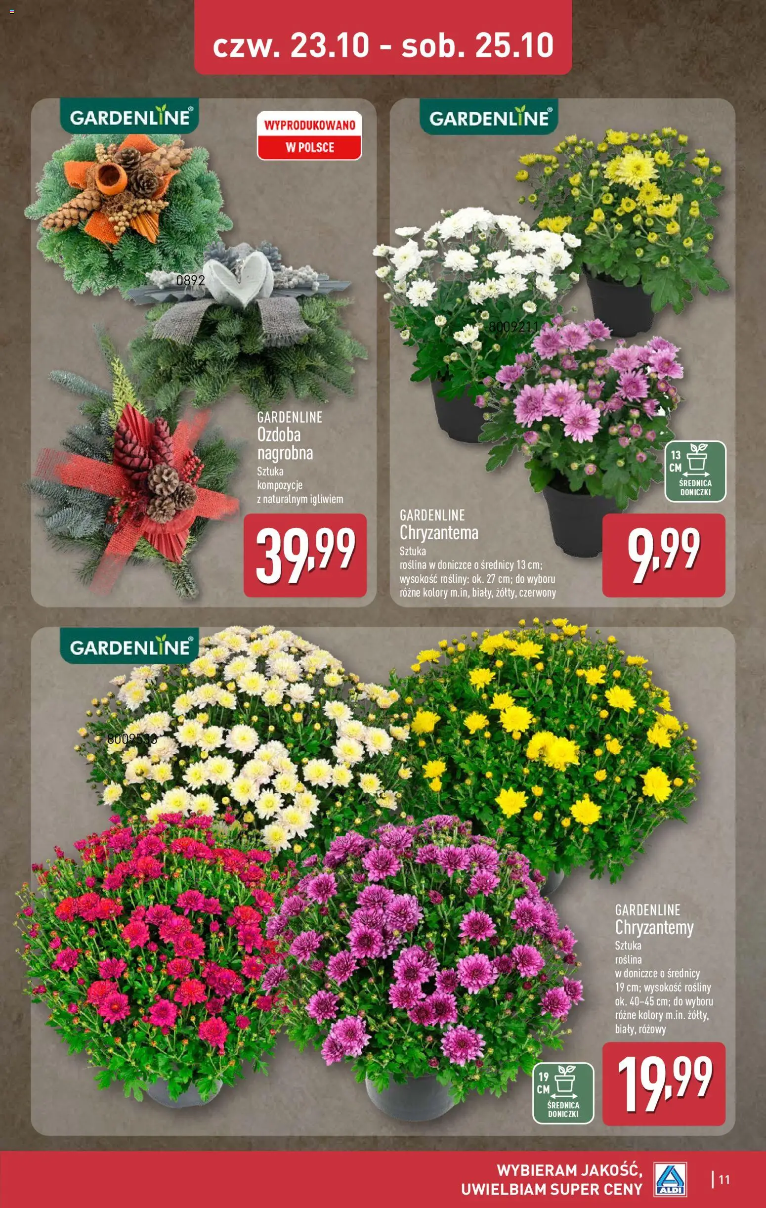 Aldi Gazetka - Okazje na weekend od 23.10.2025 | Strona: 11 | Produkty: Chryzantemy, Rosliny, Doniczki