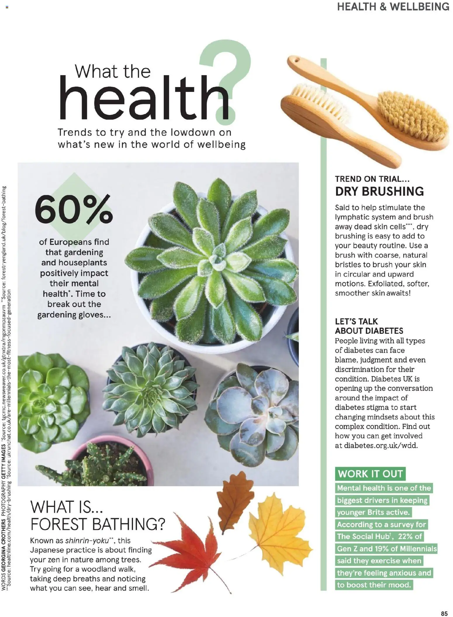 {H1} | Page: 85 | Products: Brush, Gloves