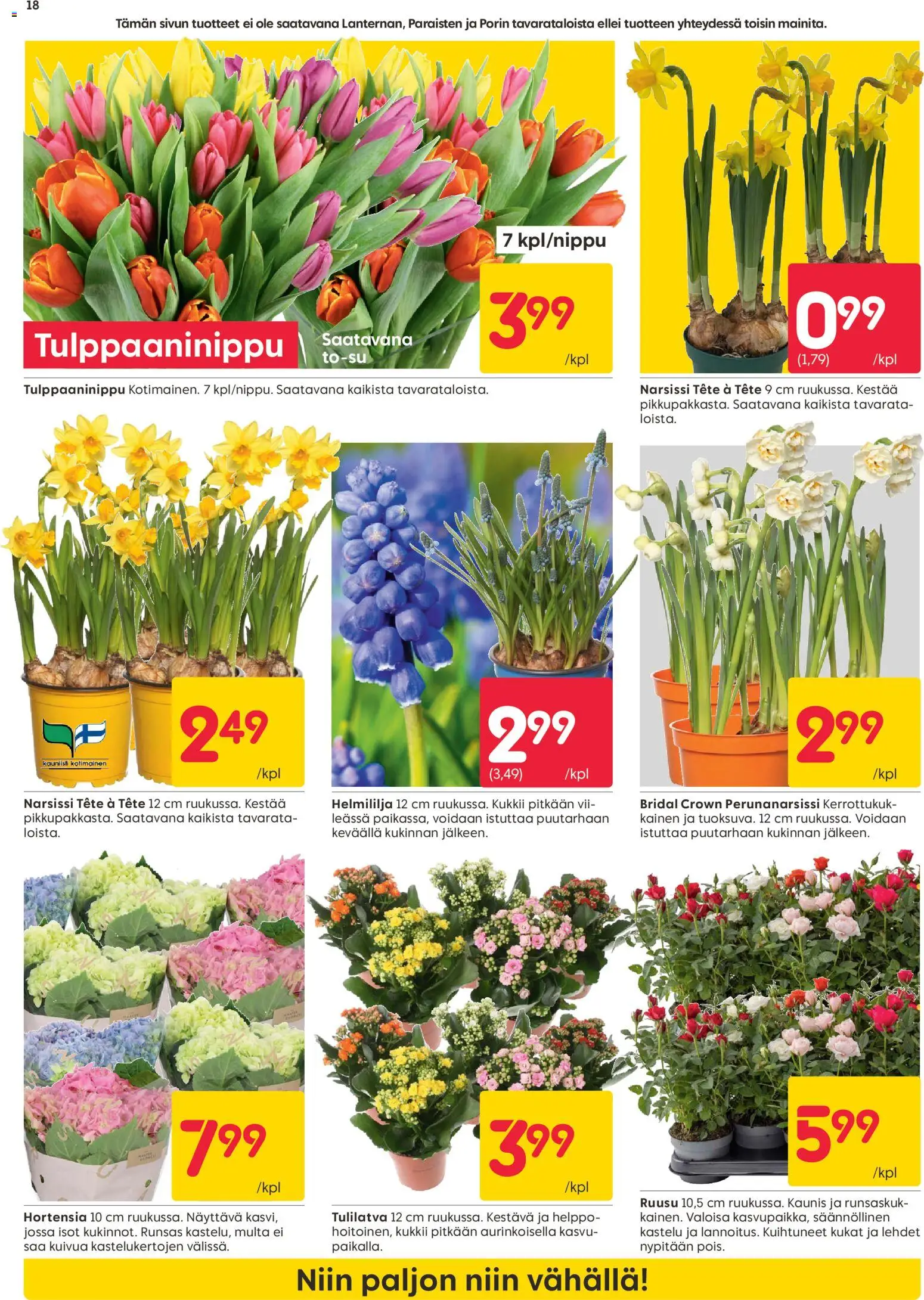 Rusta tarjoukset – voimassa 02.03.2026 alkaen | Sivu: 18 | Tuotteet: Multa