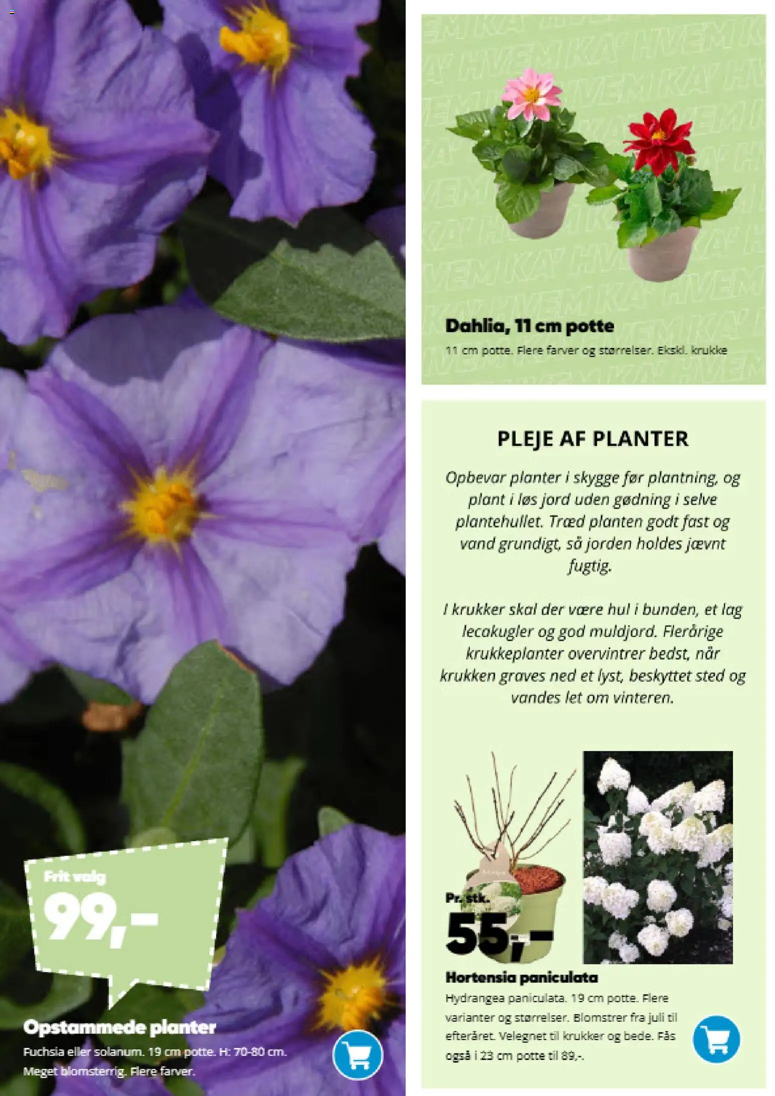 Bilka tilbudsavis – gyldig fra 09.03.2026 | Side: 5 | Produkter: Krukke