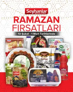 13.02.2026 tarihinden itibaren geçerli olan Seyhanlar Market kataloğu önizlemesi