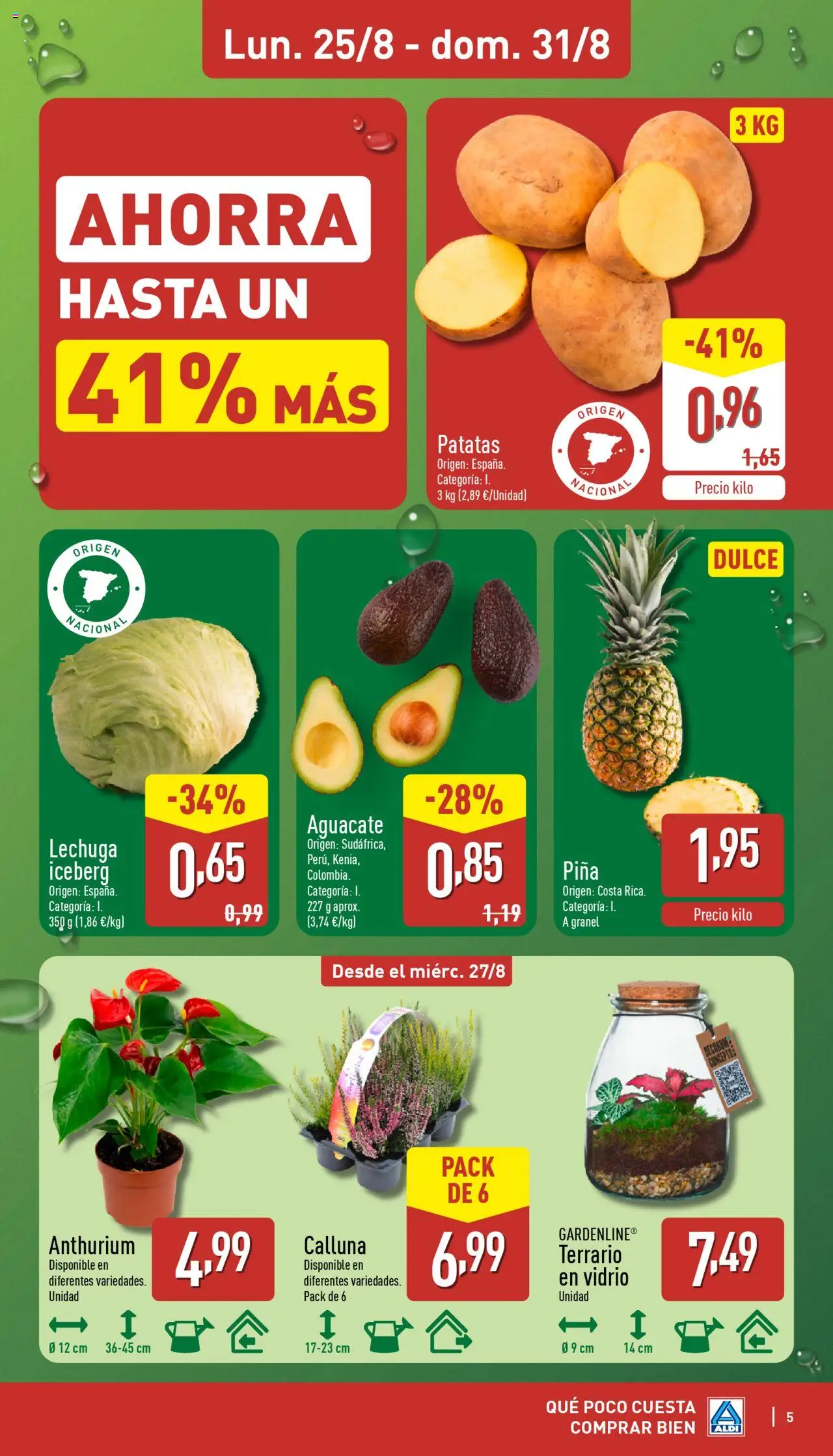 Aldi folleto Península │ válido desde el 25.08.2025 | Página: 5 | Productos: Piña