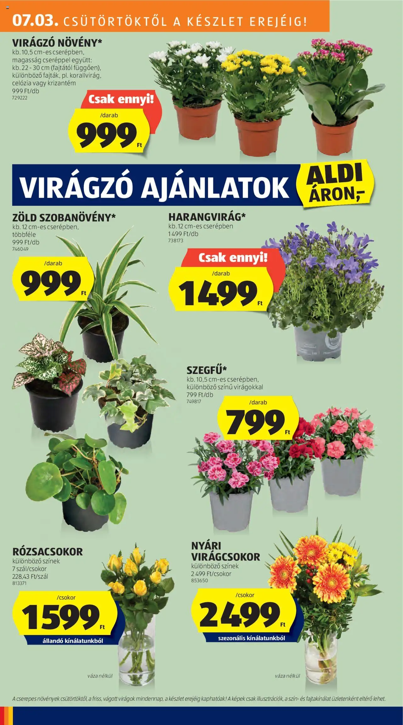 Aldi akciós ujság - amely érvényes a következő dátumtól: 03.07.2025 | Oldal: 8 | Termékek: Virágok, Váza