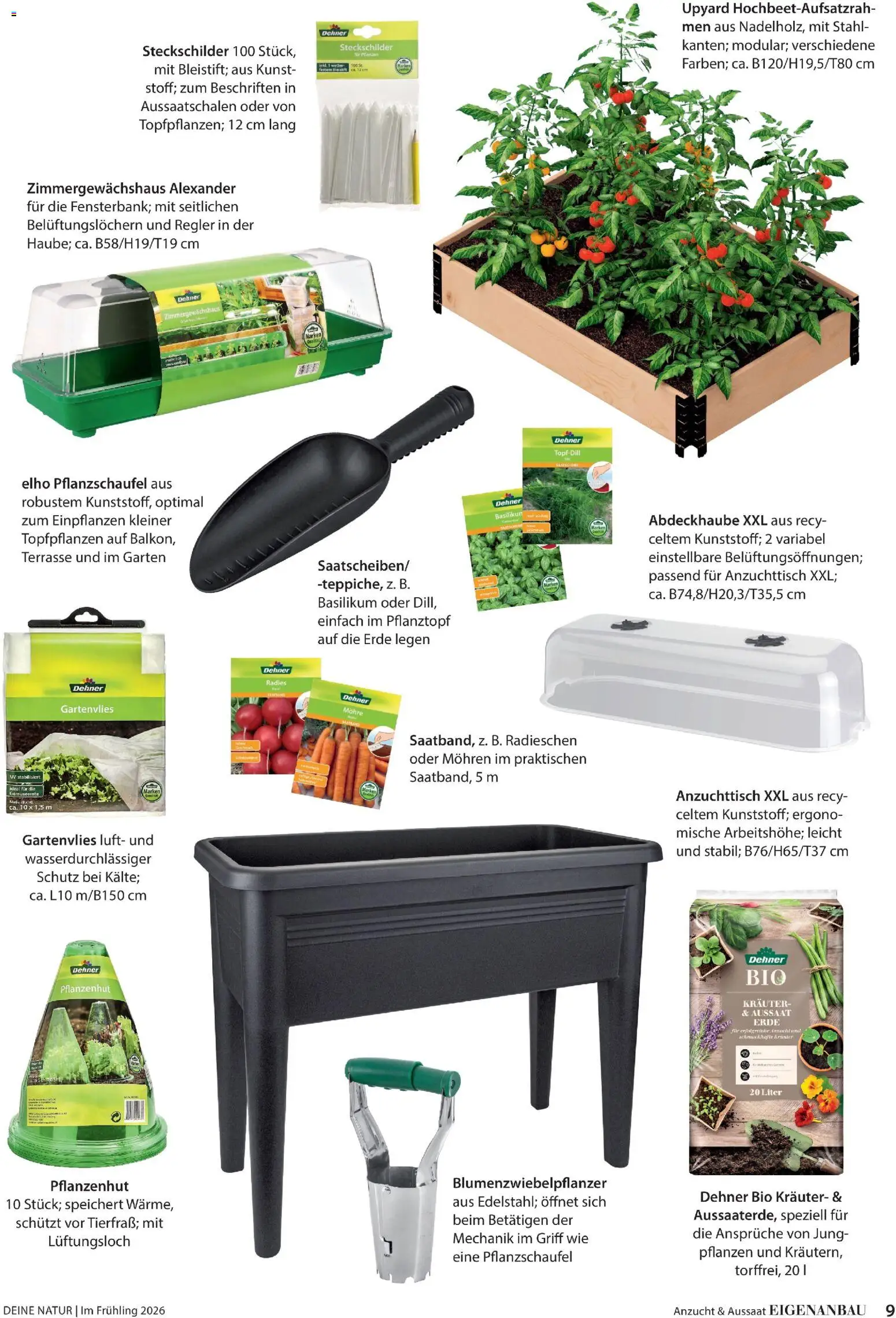 Dehner Flugblatt gültig ab 05.03.2026 | Seite: 9 | Produkte: Dill