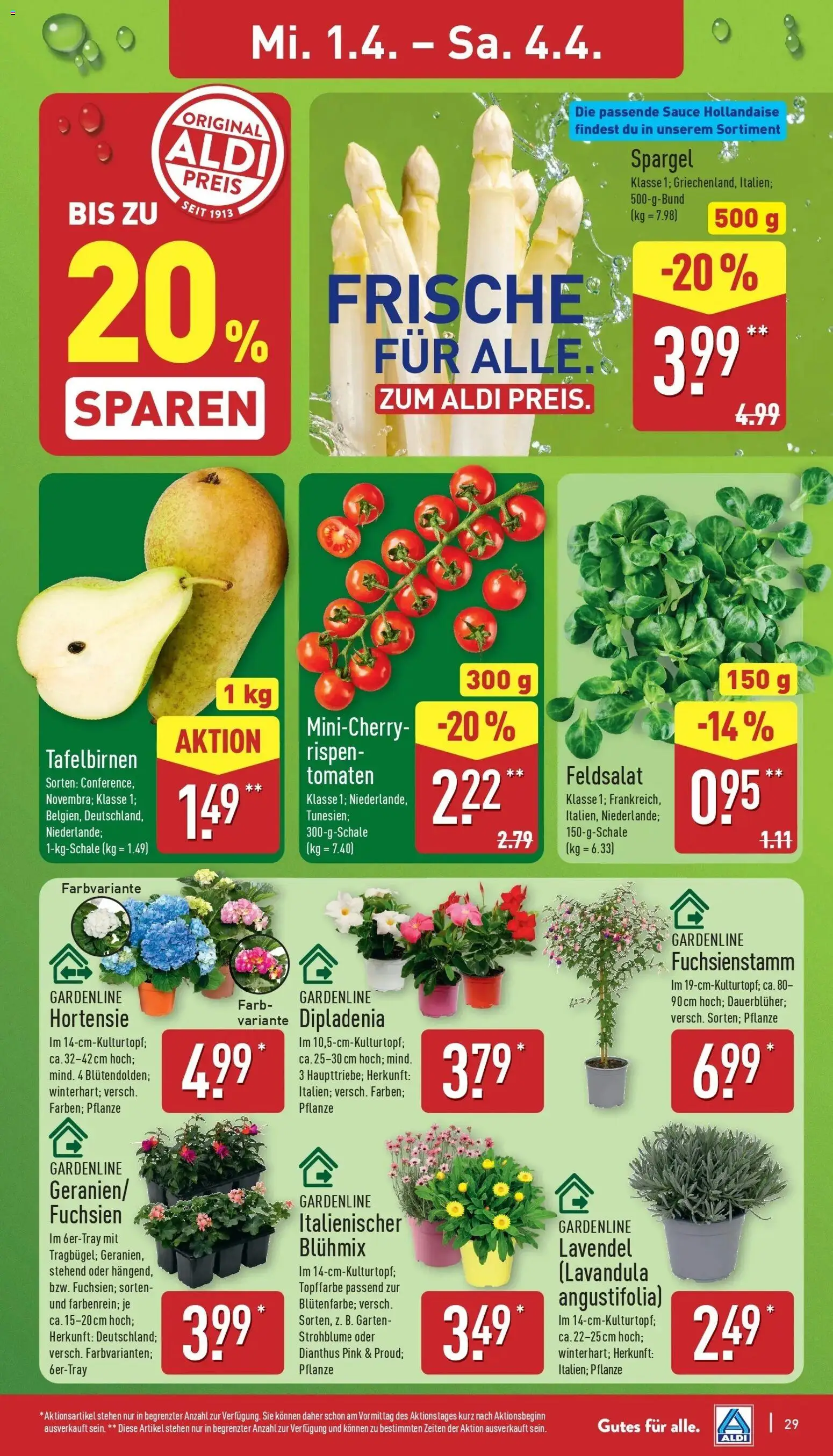 Aldi Wochenangebote – gültig ab 30.03.2026 | Seite: 30 | Produkte: Hortensie, Tomaten, Spargel, Lavendel