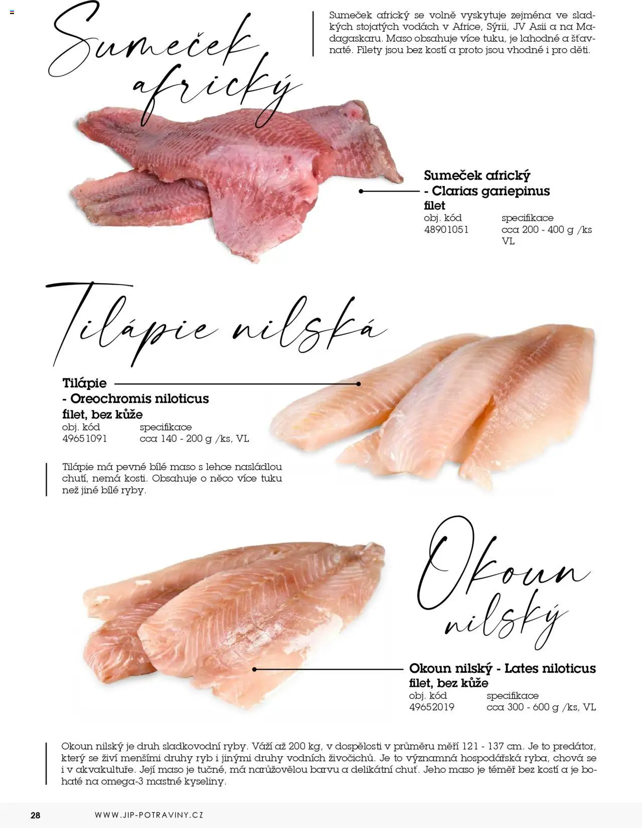 Jip katalog ryby 2024/25 od 30.12.2024 | Strana: 28 | Produkty: Tilapie, Okoun, Filet, Maso