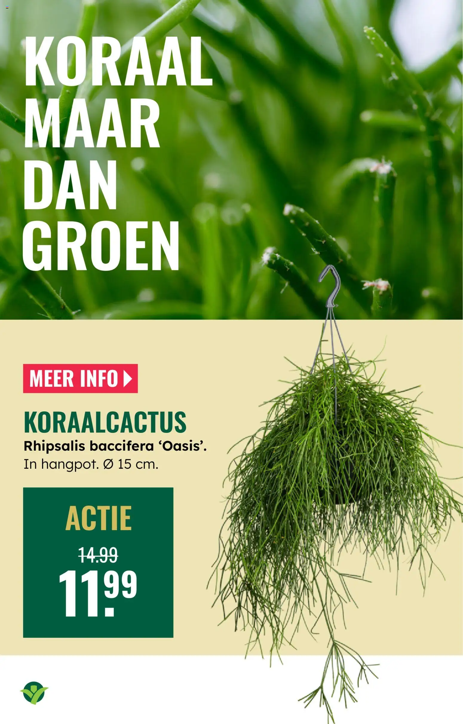 {H1} | Pagina: 9 | Producten: Koraal