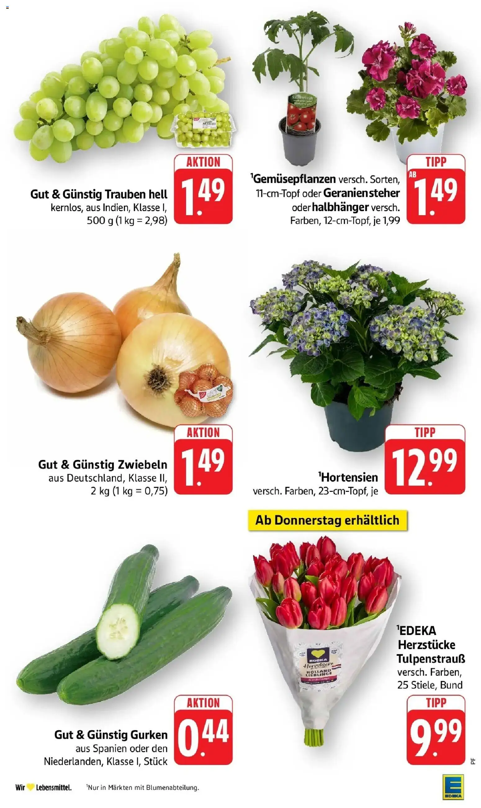 Edeka prospekt Steinfeld	 – gültig ab 12.04.2026 | Seite: 5 | Produkte: Trauben, Zwiebeln, Gemüse, Gurken