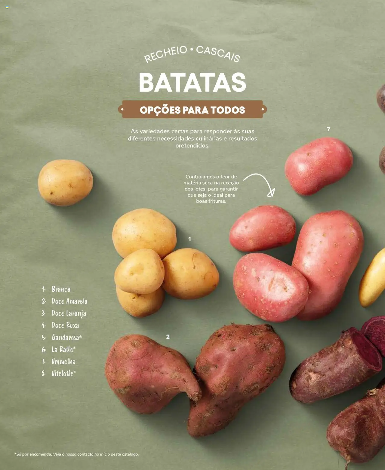 Recheio Frutas e Legumes │ válido de 19.09.2024 | Página: 24
