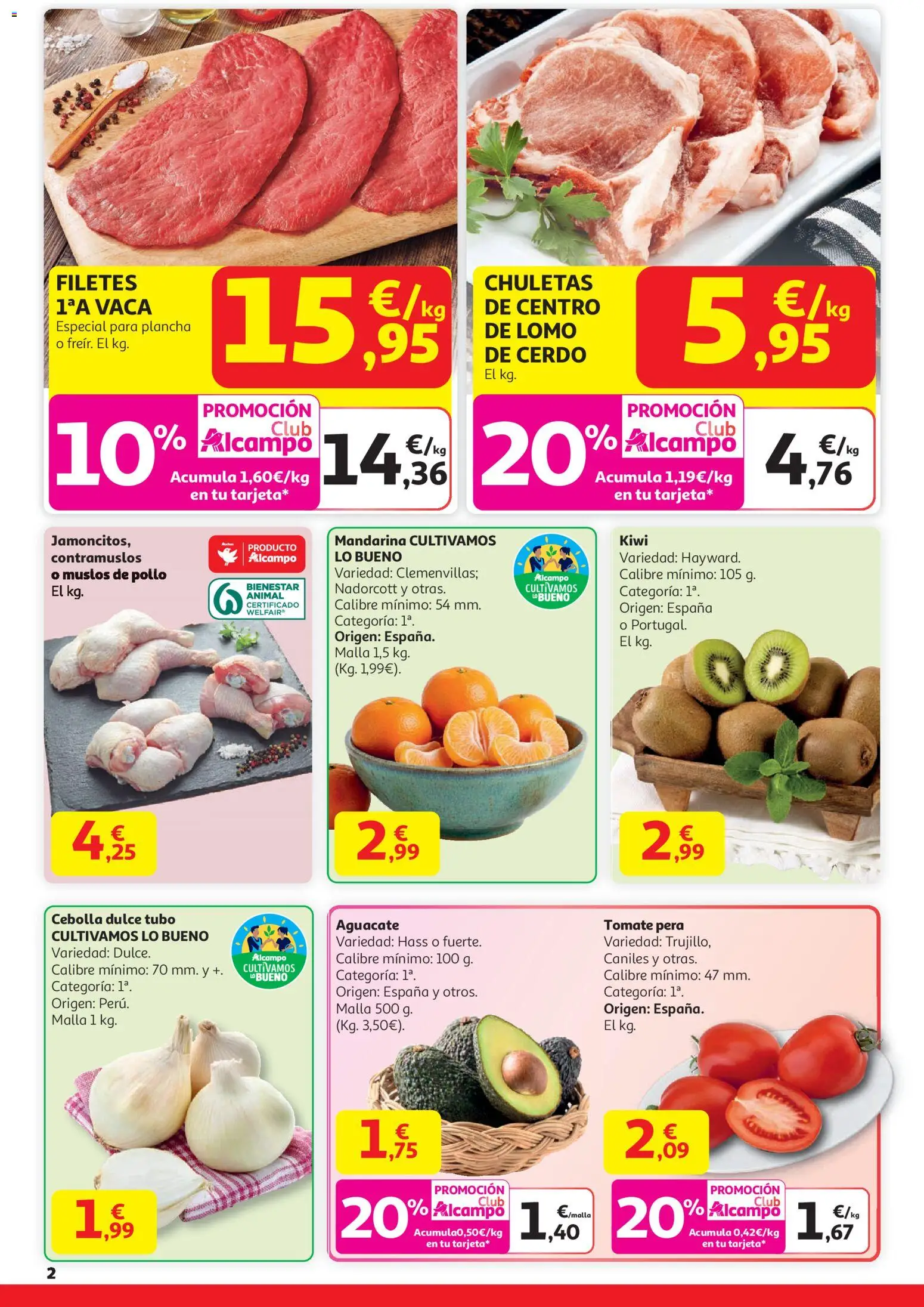 Alcampo - Trafico HP │ válido desde el 29.12.2025 | Página: 2 | Productos: Cerdo, Kiwi, Παγωμένο τσάι, Plancha