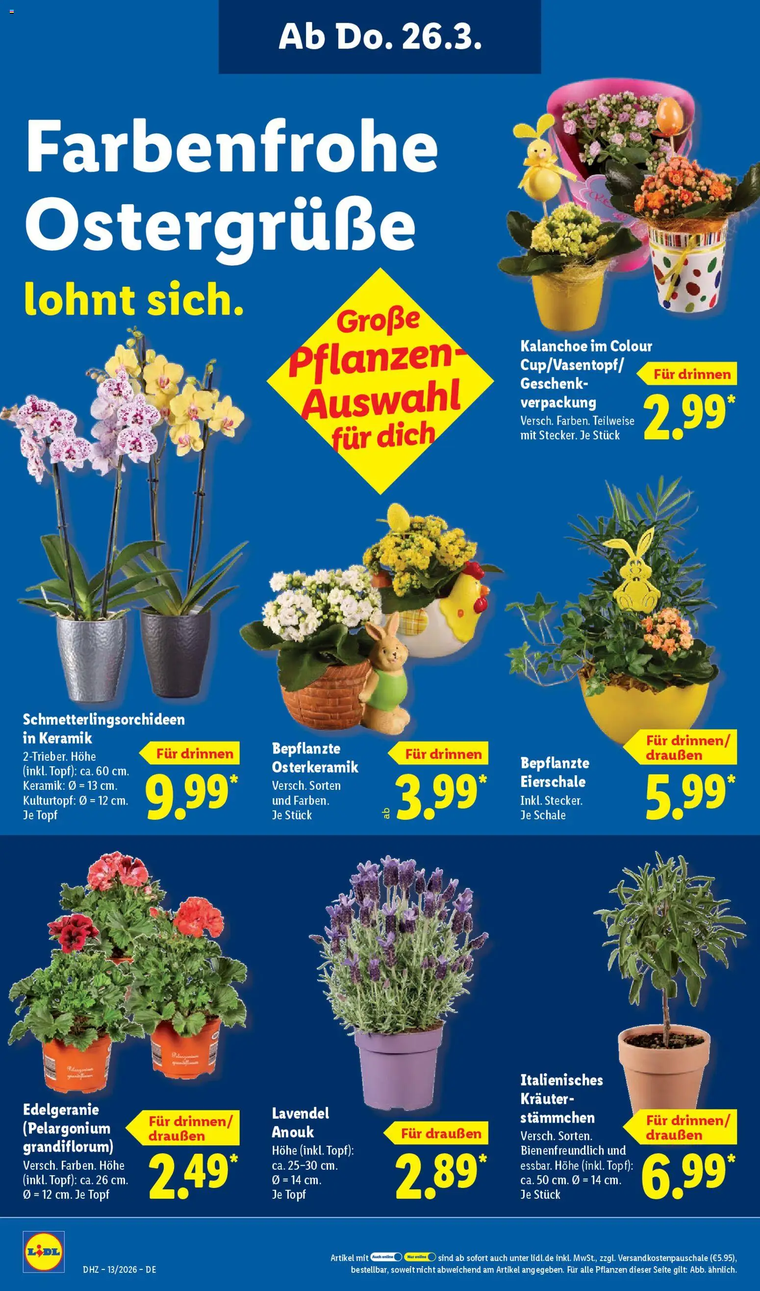 Lidl Prospekt – gültig ab 23.03.2026 | Seite: 18 | Produkte: Lavendel