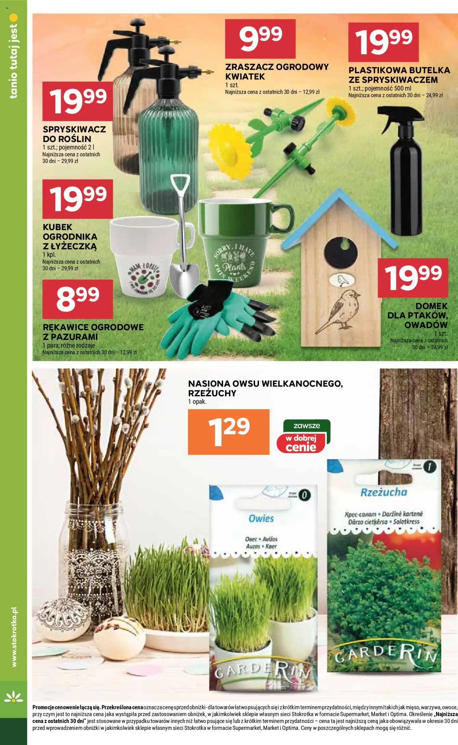 Stokrotka gazetka - Market od 12.03.2026 | Strona: 20 | Produkty: Rzeżucha, Stokrotka, Nasiona, Owoce