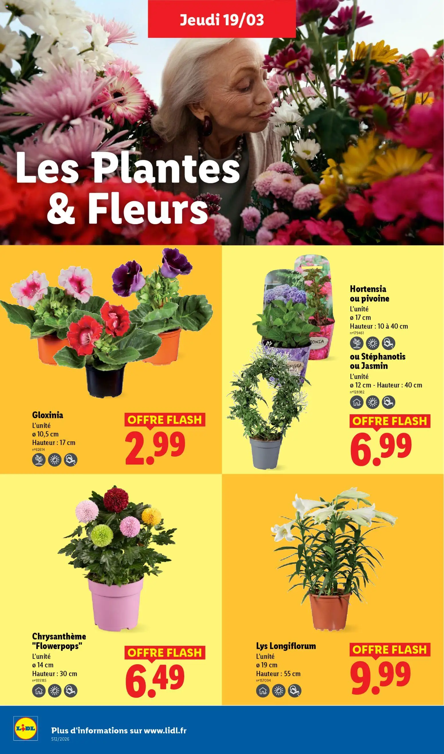 {H1} | Page: 26 | Produits: Hortensia, Plantes, Chrysanthème