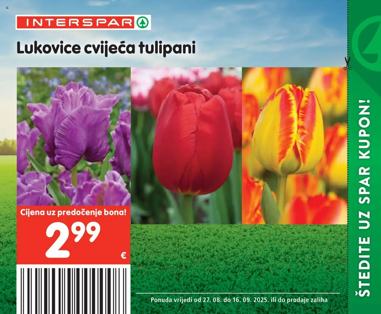 Interspar katalog | vrijedi od 27.08.2025 | Stranica: 56