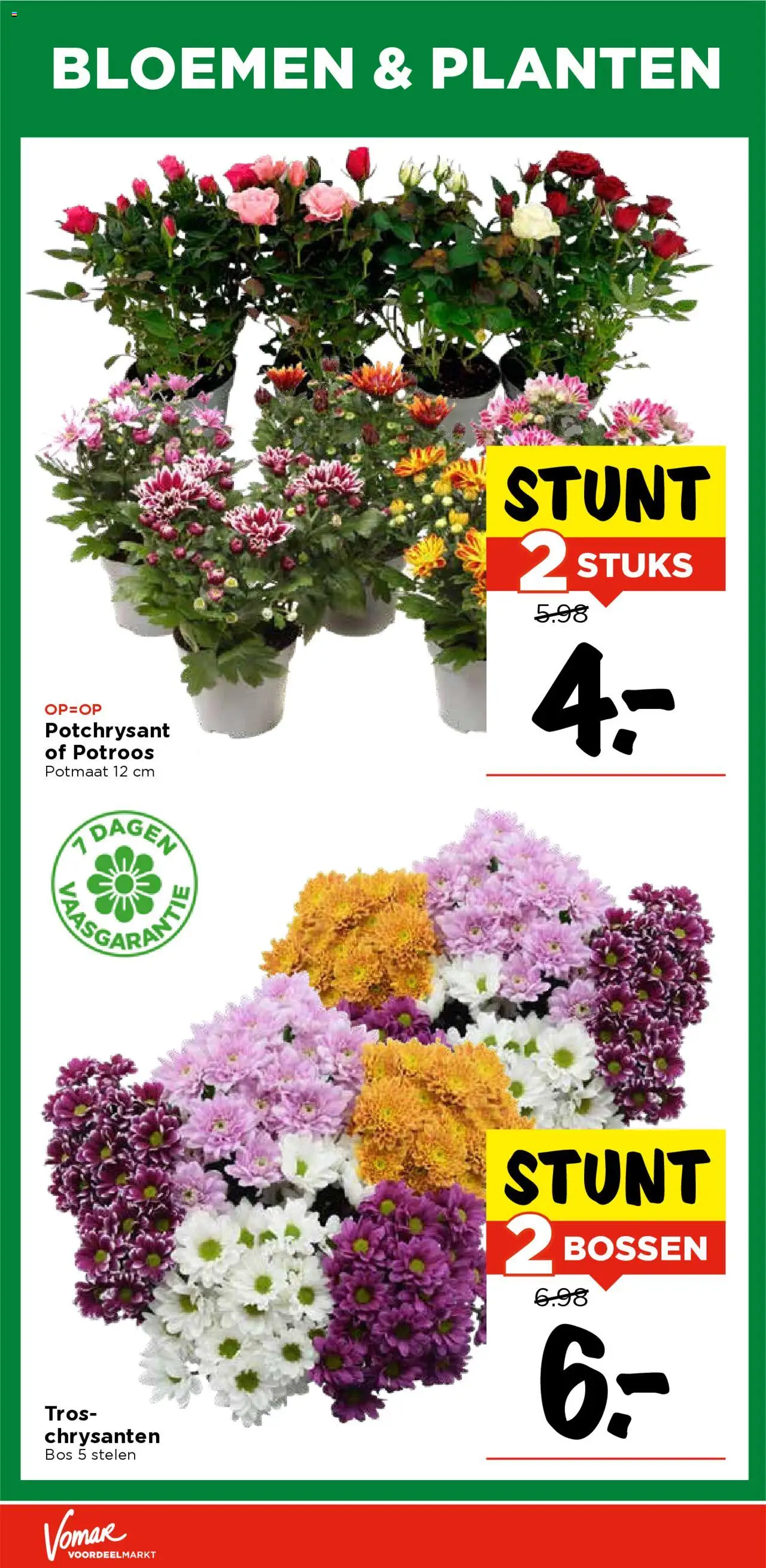 {H1} | Pagina: 36 | Producten: Bloemen