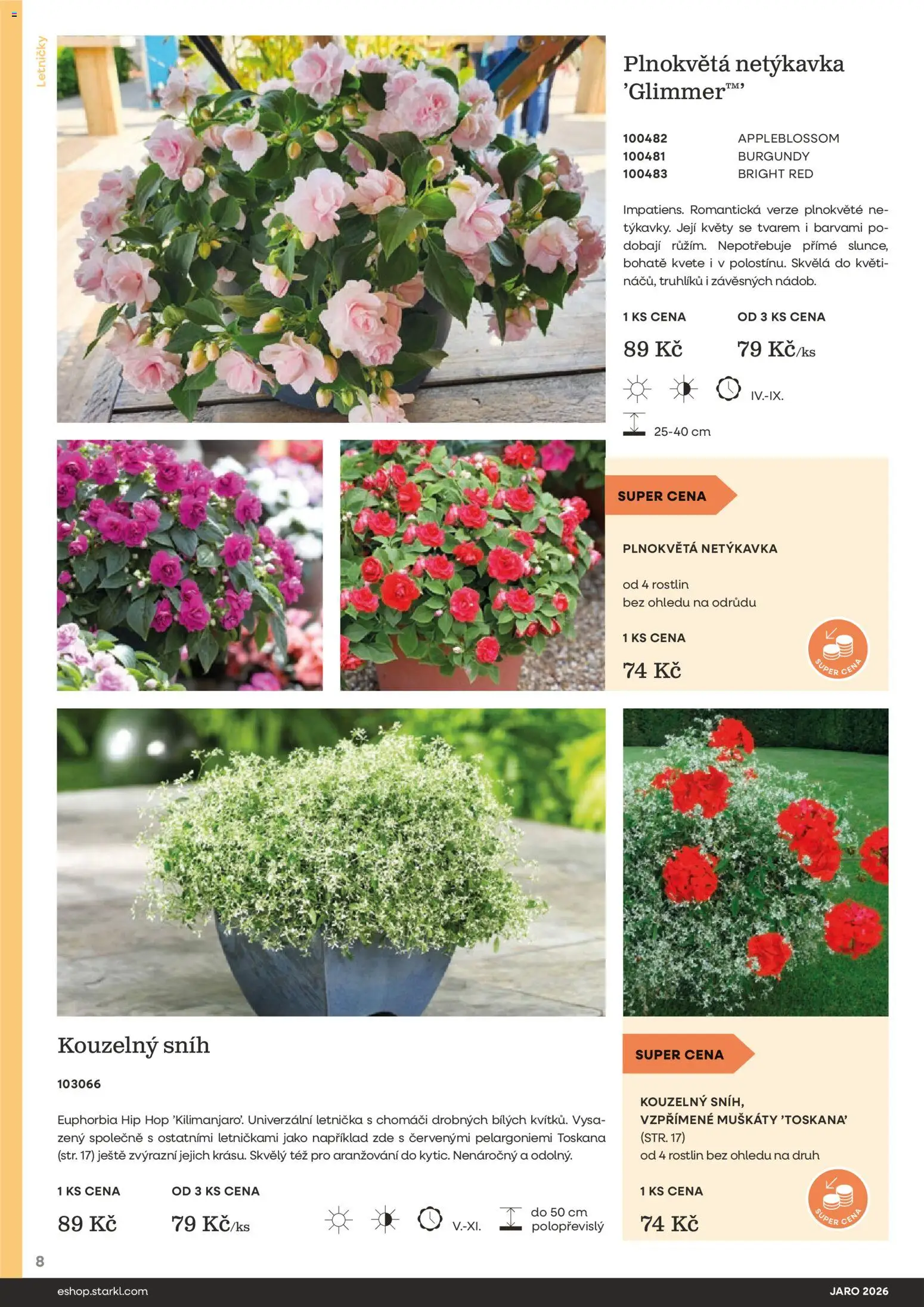 Starkl katalog Jaro 2026 od 25.02.2026 | Strana: 8 | Produkty: Muškáty