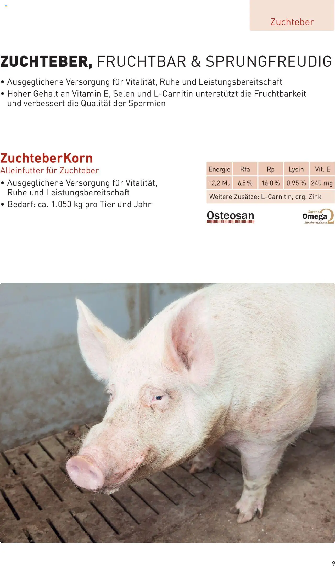 Lagerhaus Prospekt Zuchtsau & Ferkel gültig ab 14.03.2025 | Seite: 9