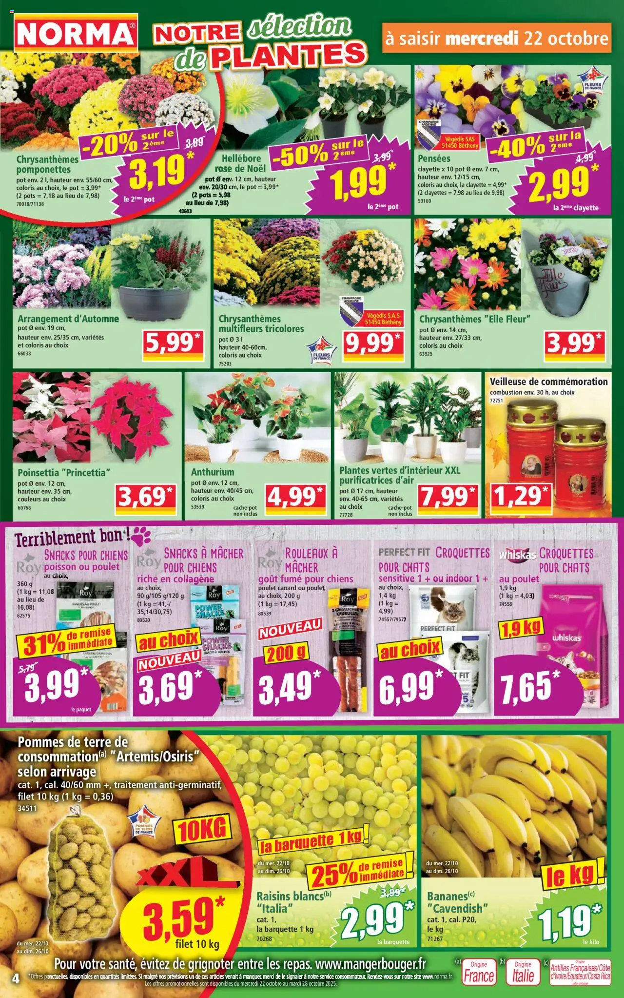 {H1} | Page: 4 | Produits: Poinsettia, Plantes, Champagne, Pommes
