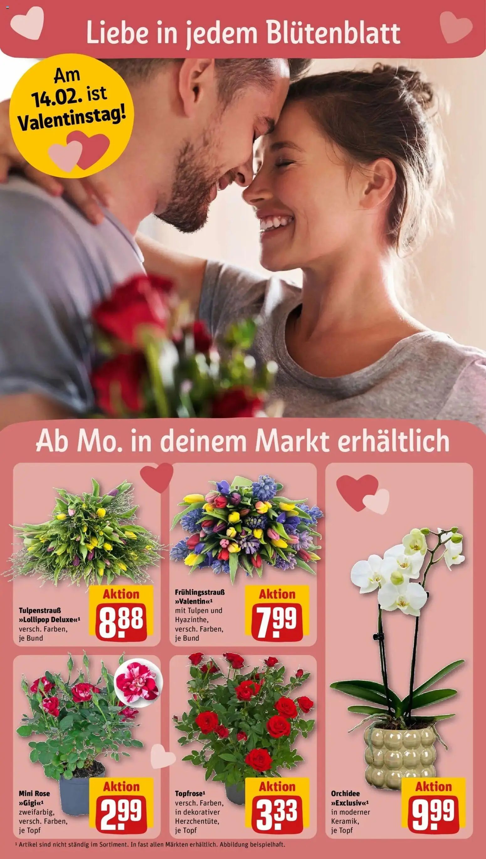 Rewe prospekt Krefeld-Fischeln	 – gültig ab 08.02.2026 | Seite: 6 | Produkte: Orchidee