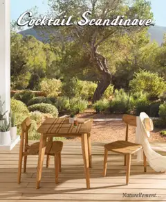 Cocktail Scandinave - Prévisualisation de Cocktail Scandinave catalogue valide à partir de 12.05.2025