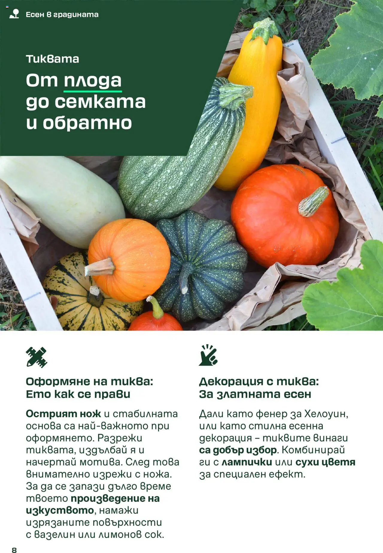  | Страница: 8 | Продукти: Фенер, Тиква, Декорация