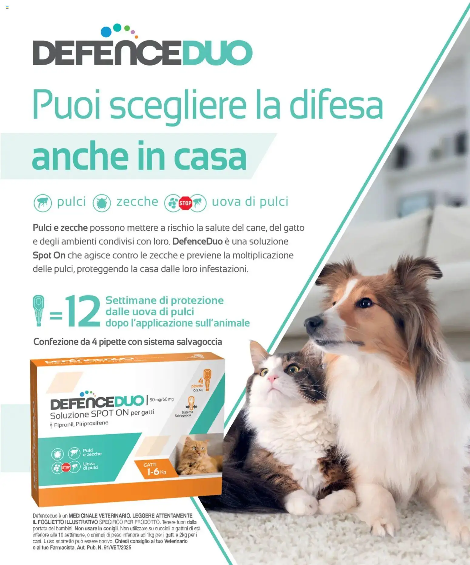 Volantino Arcaplanet del 02.03.2026 | Pagina: 11 | Prodotti: Uova