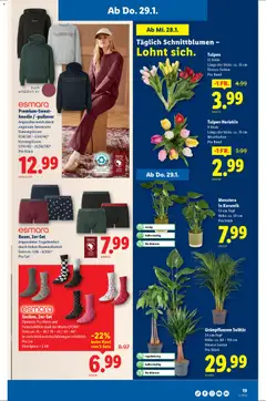 Lidl Aktionen ab 29.01.2026 gültig | Seite: 19 | Produkte: Hoodie, Pullover