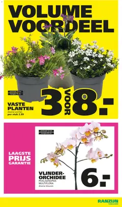 Ranzijn folder - Voorbeeld van een folder van Ranzijn, geldig van 22.03.2026 | Pagina: 4