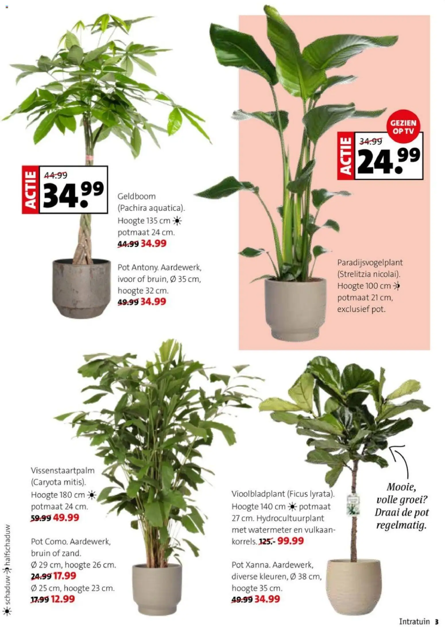 {H1} | Pagina: 3 | Producten: Pot, Tv