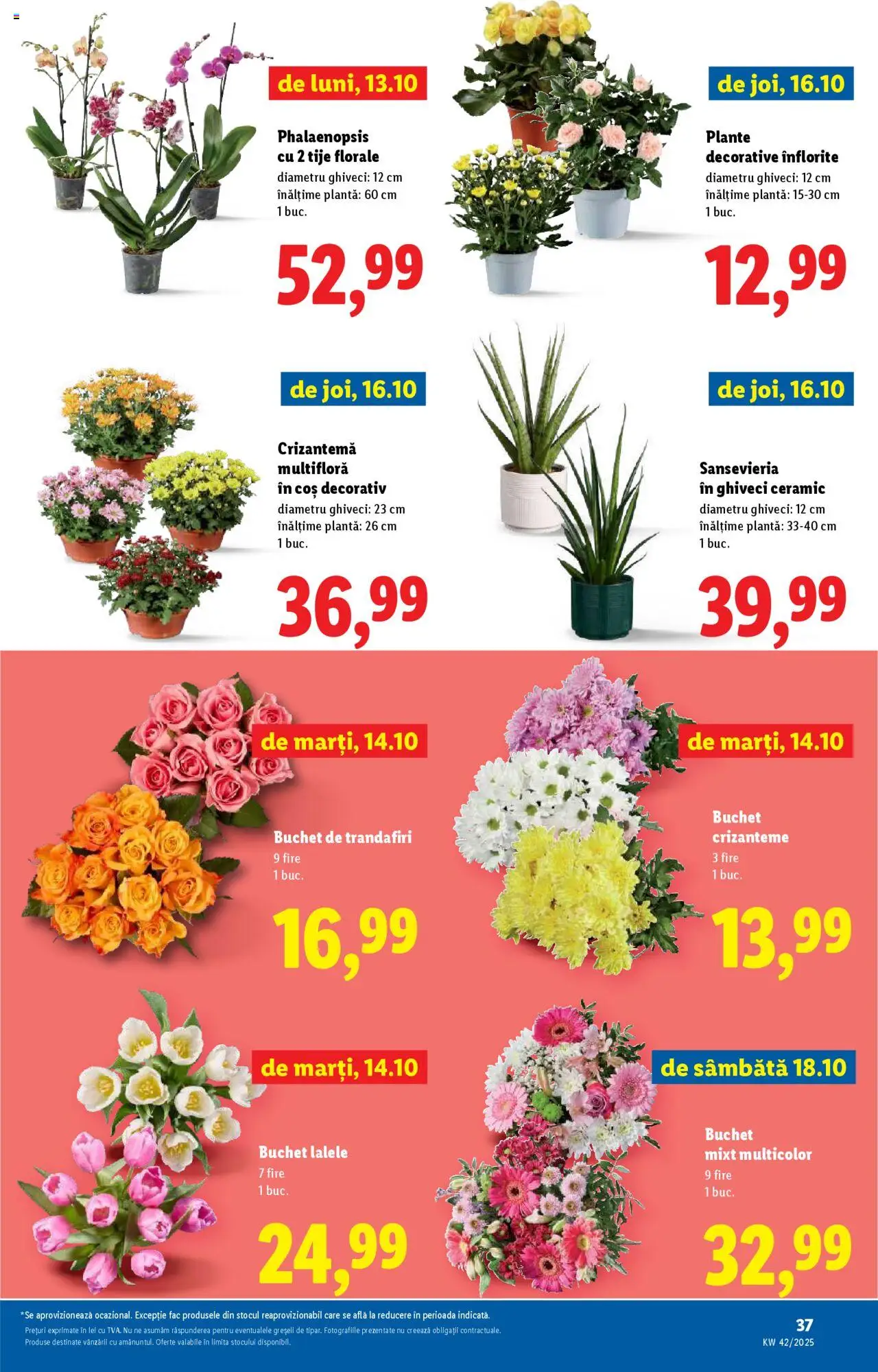 Noul catalog Lidl – valabil de la 13.10.2025 | Pagină: 37 | Produse: Coș, Ghiveci