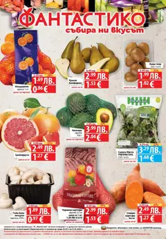 Преглед на Cедмична брошура на Фантастико - Офертите са валидни от 11.12.2025 | Страница: 32 | Продукти: Салата, Мрежа, Мандарини, Круши