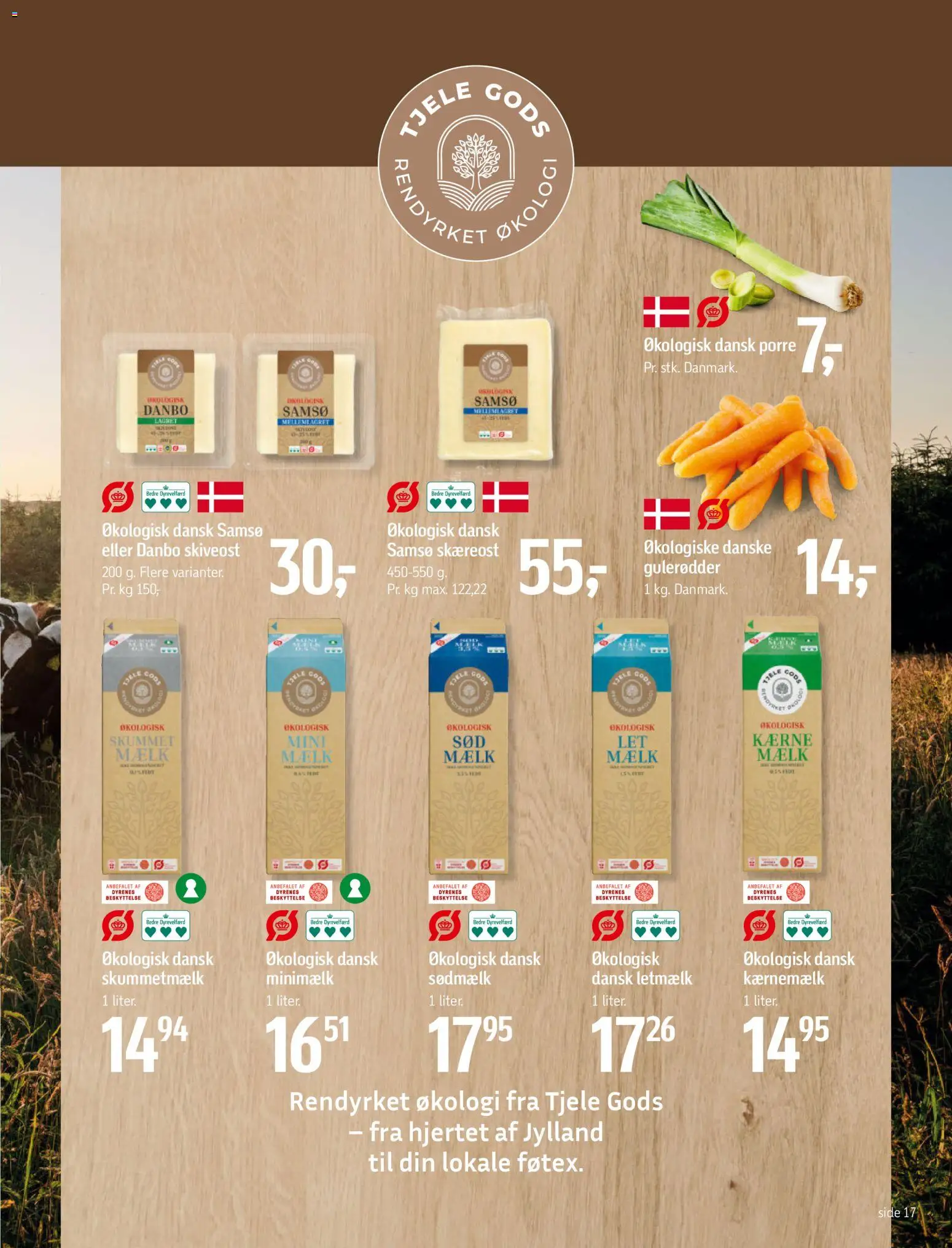 Føtex tilbudsavis – gyldig fra 30.01.2026 | Side: 21 | Produkter: Mælk, Kærnemælk, Jogo de ferramentas, Lingerie