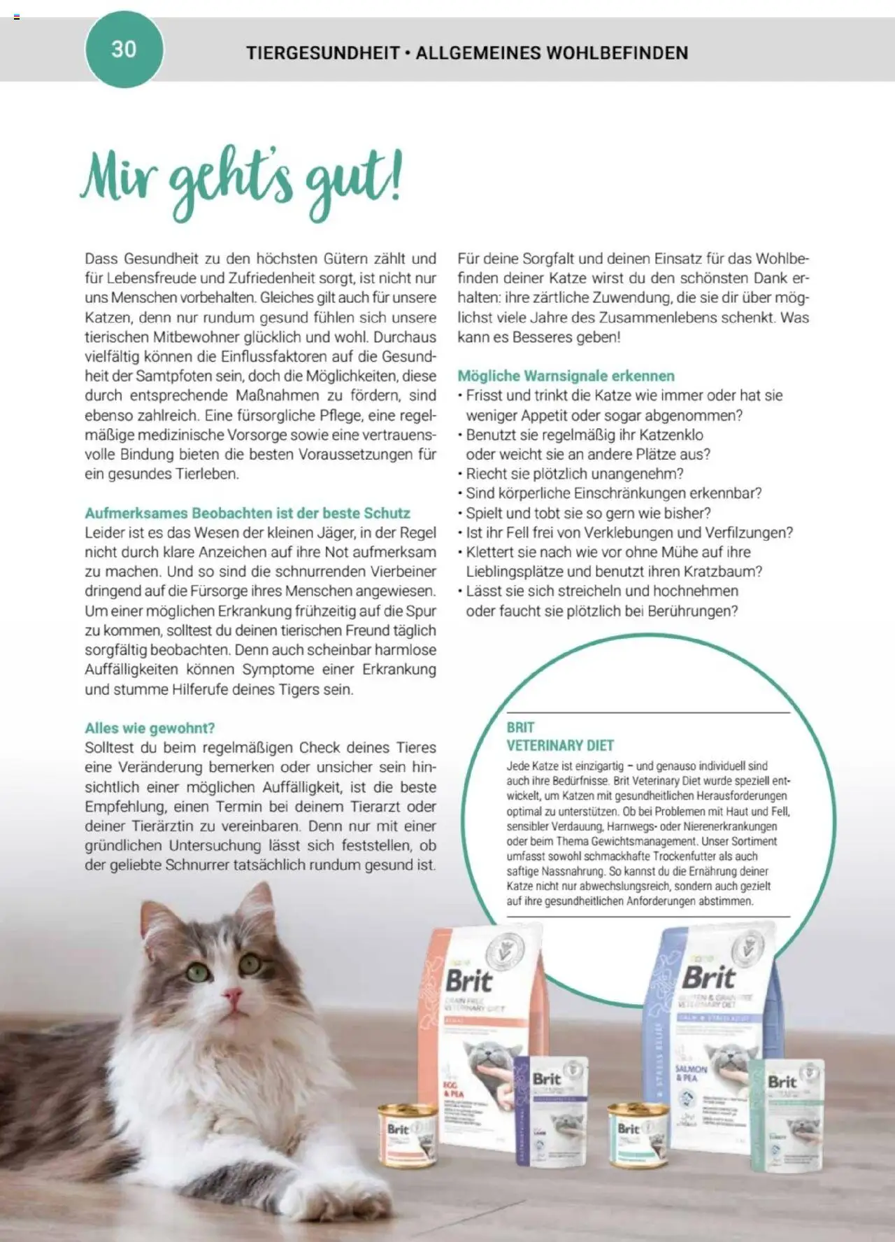 zookauf Themenkatalog Katze – gültig ab 01.10.2025 | Seite: 30