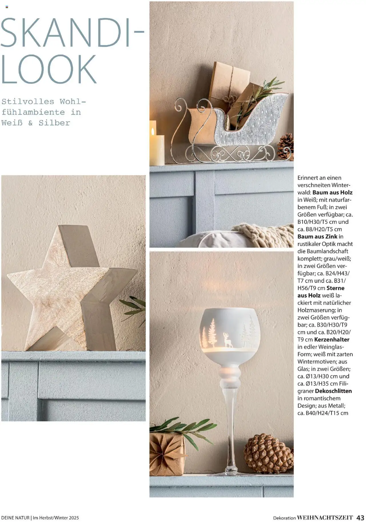 Dehner  Flugblatt gültig ab 10.10.2025 | Seite: 43