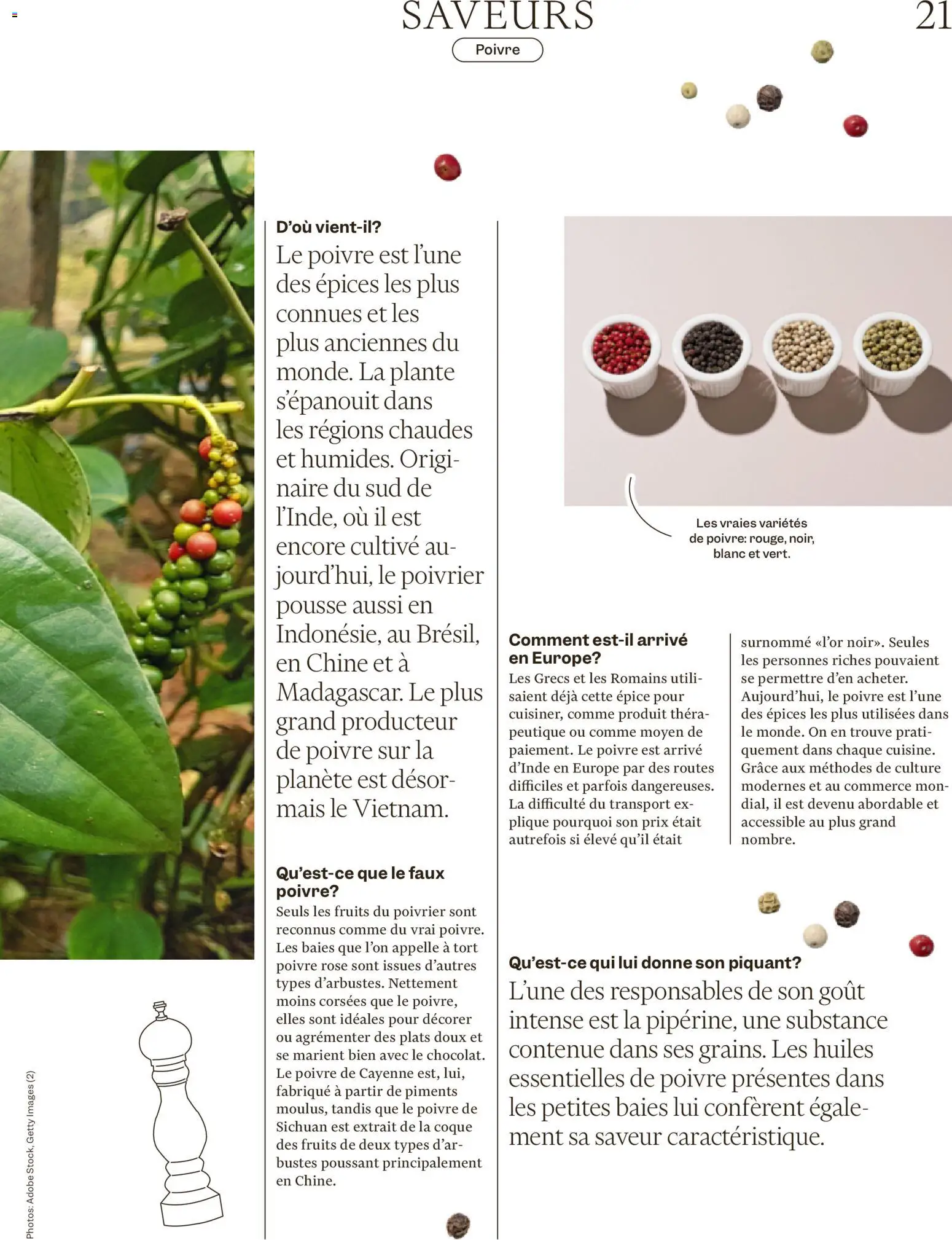 Migros Magazin FR – gültig ab 29.12.2025 | Seite: 21