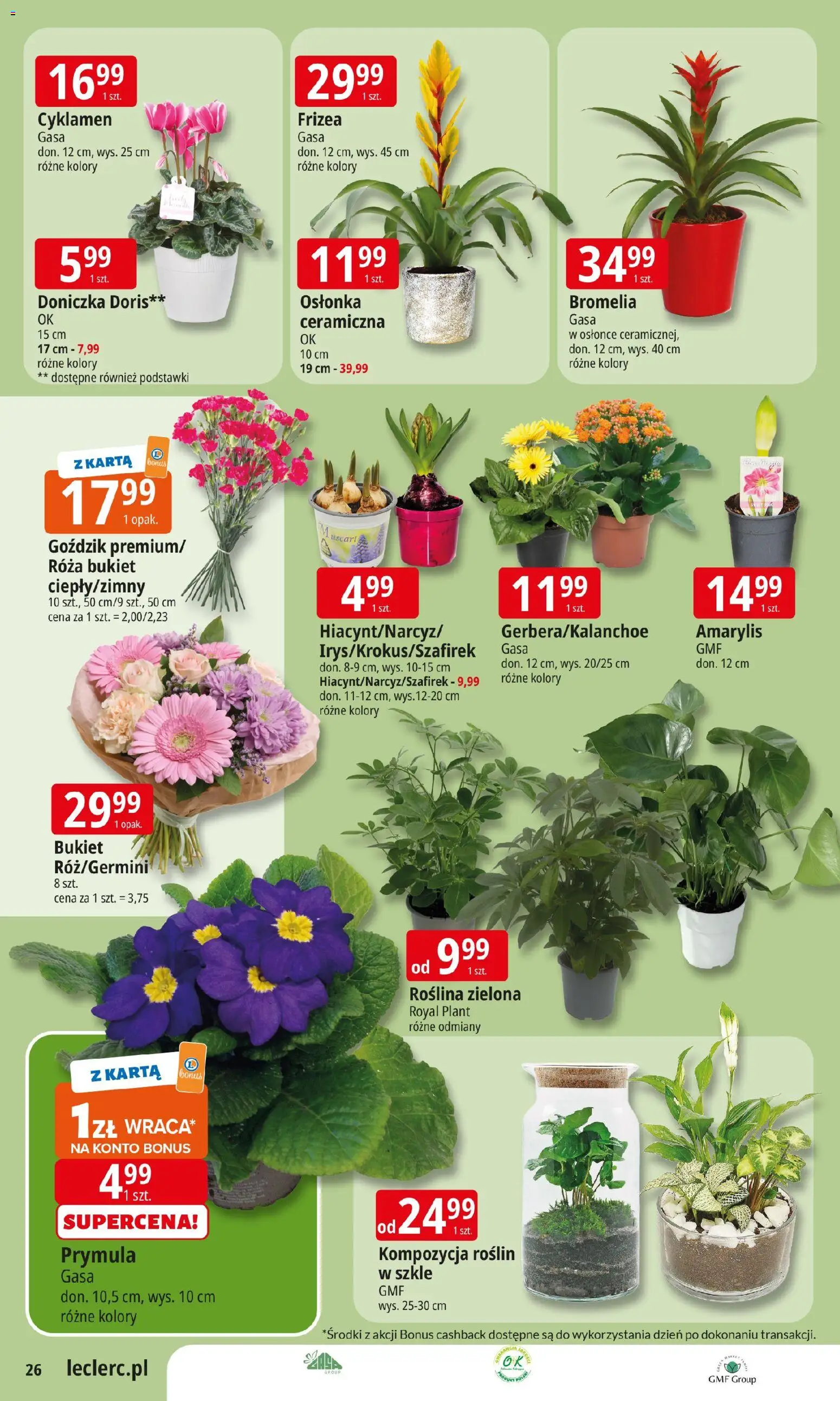 E.Leclerc Gazetka od 13.01.2026 | Strona: 26 | Produkty: Karta, Amarylis, Goździk, Doniczka