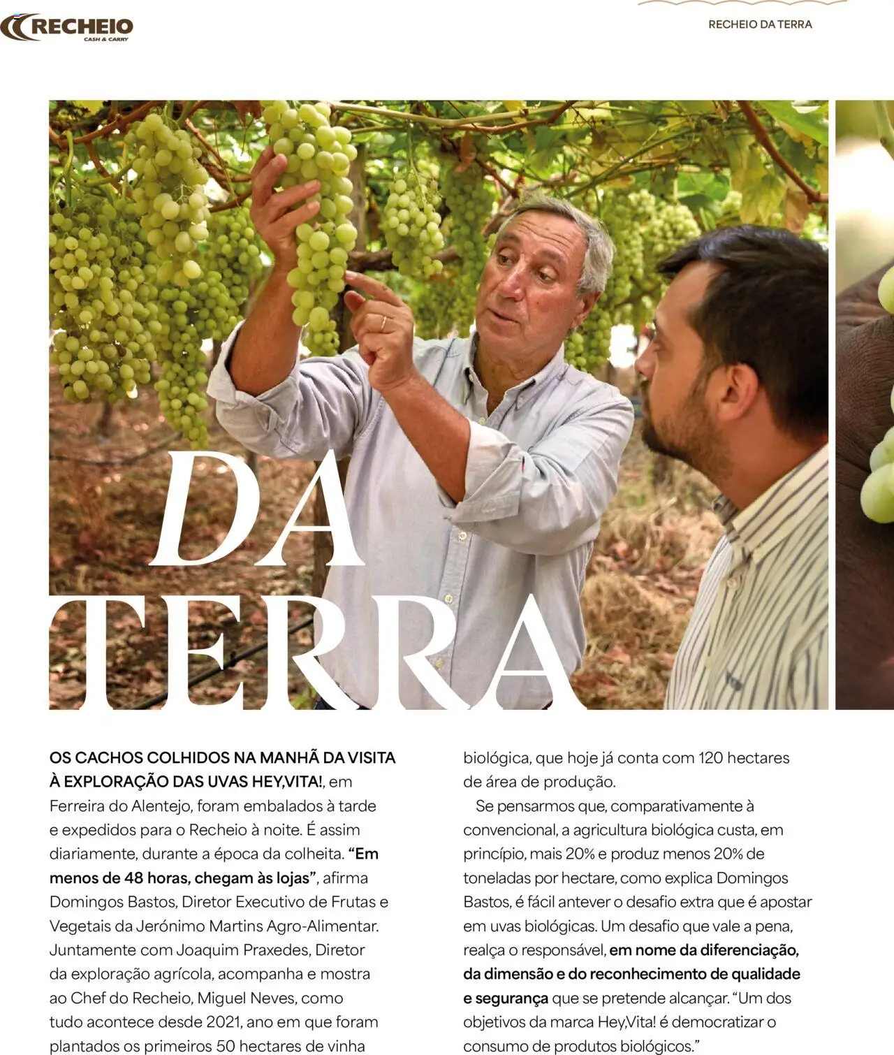 Recheio - Recheio da Terra │ válido de 25.09.2025 | Página: 8 | Produtos: Uvas