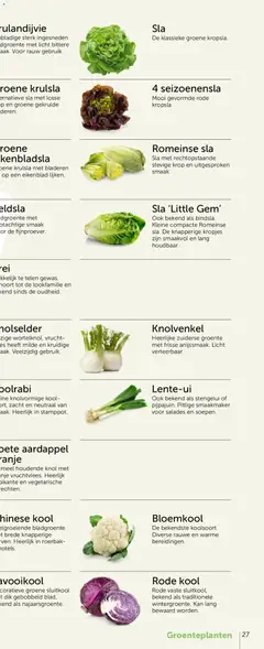 Aveve Groente- en kruidengids - Voorbeeld van een folder van Aveve, geldig van 23.02.2026 | Pagina: 53 | Producten: Aardappel, Bloemkool, Sla, Kan