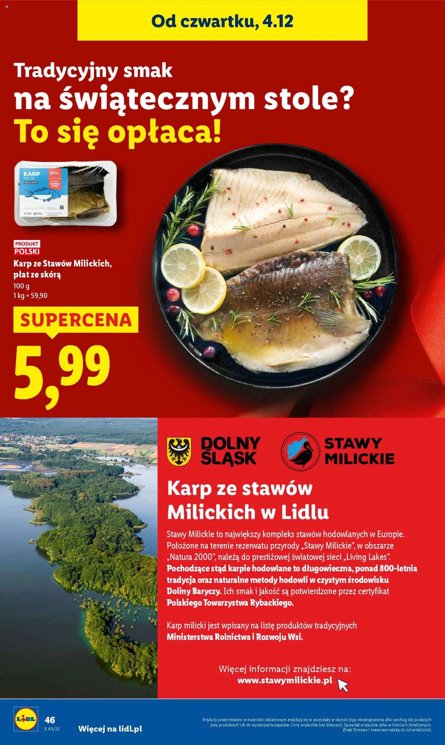 Lidl Gazetka od 04.12.2025 | Strona: 48