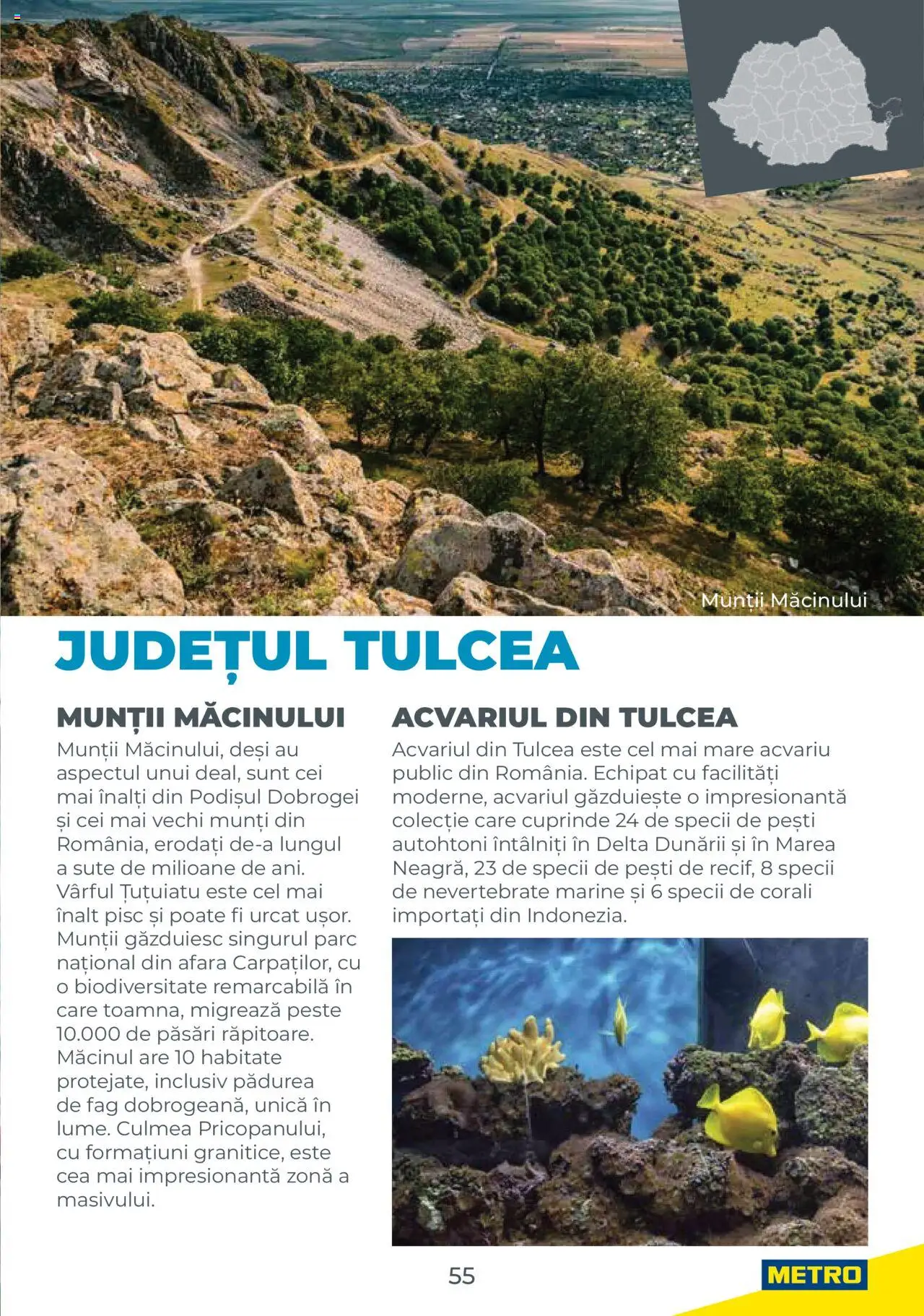 Metro catalog - Ghid de călătorie România – valabil de la 01.08.2025 | Pagină: 55 | Produse: Pește