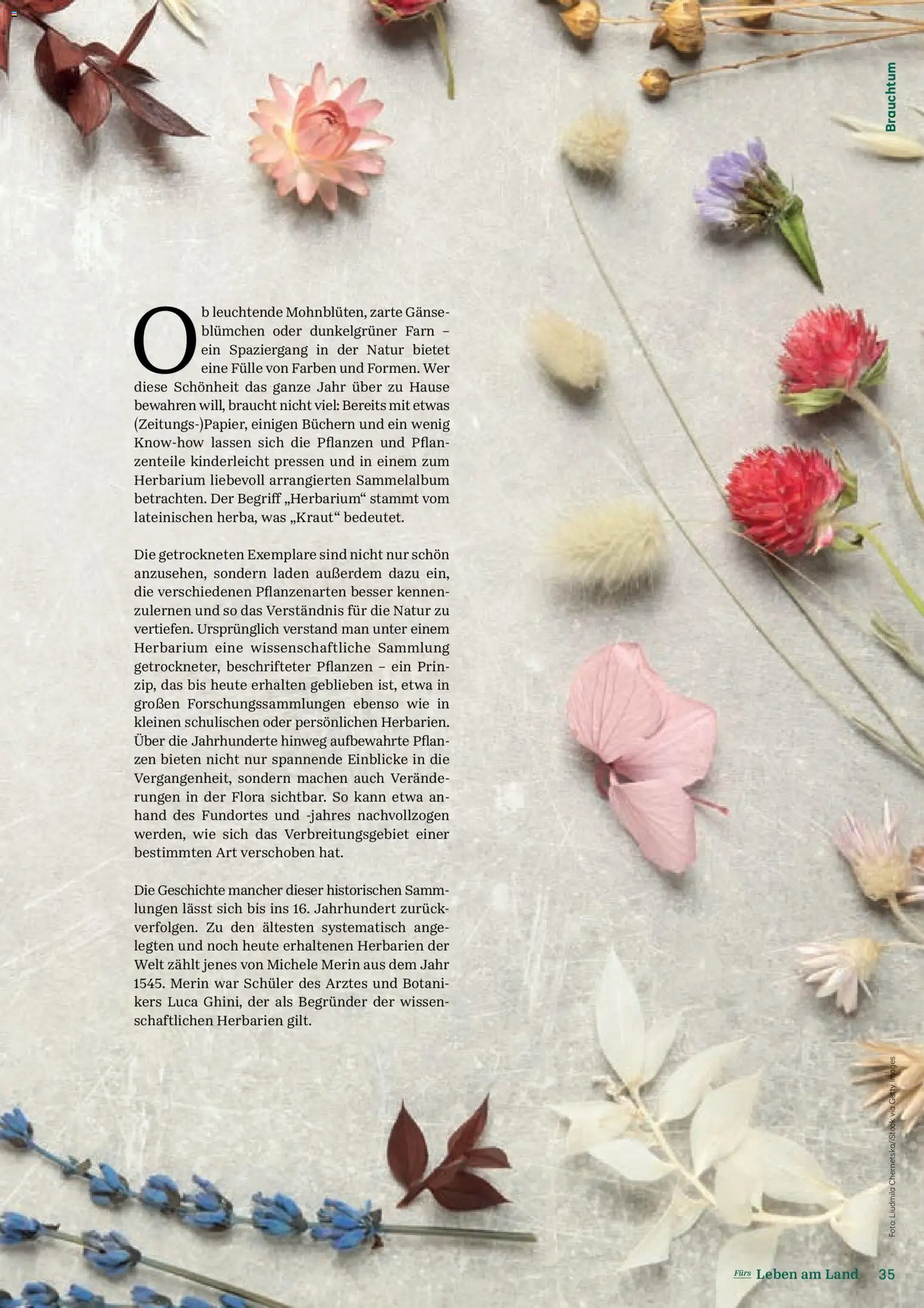 Lagerhaus Fürs Leben am Land gültig ab 01.11.2025 | Seite: 35