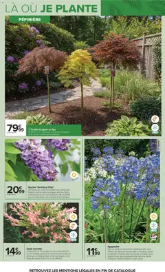 Carrefour - Prévisualisation de Carrefour Jardin plantation et mobilier valide à partir de 14.04.2026 | Page: 7 | Produits: Crevette, Parfum, Érable du japon